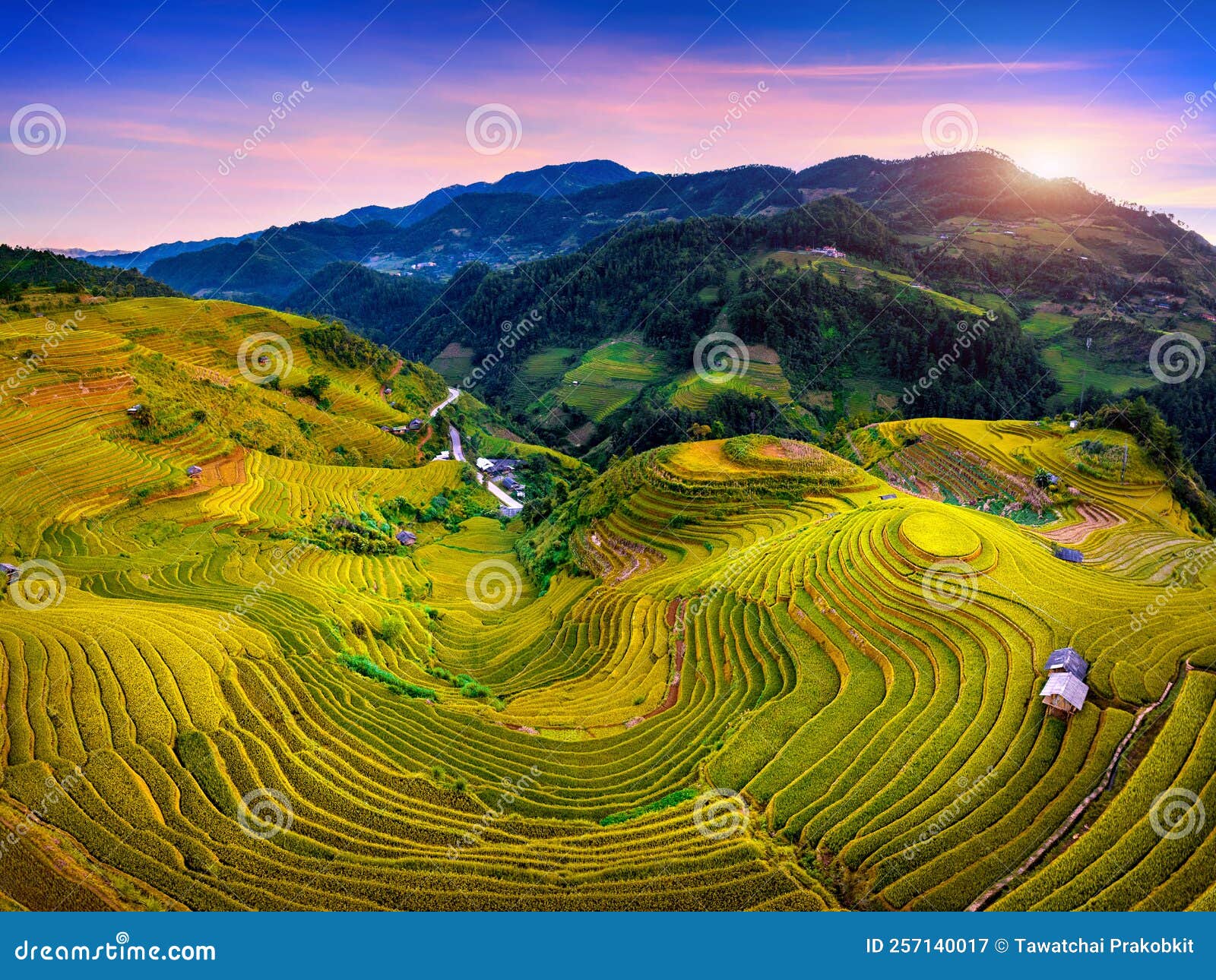 aerial view of rice terraces at mam xoi viewpoint in mu cang chai, vietnam.