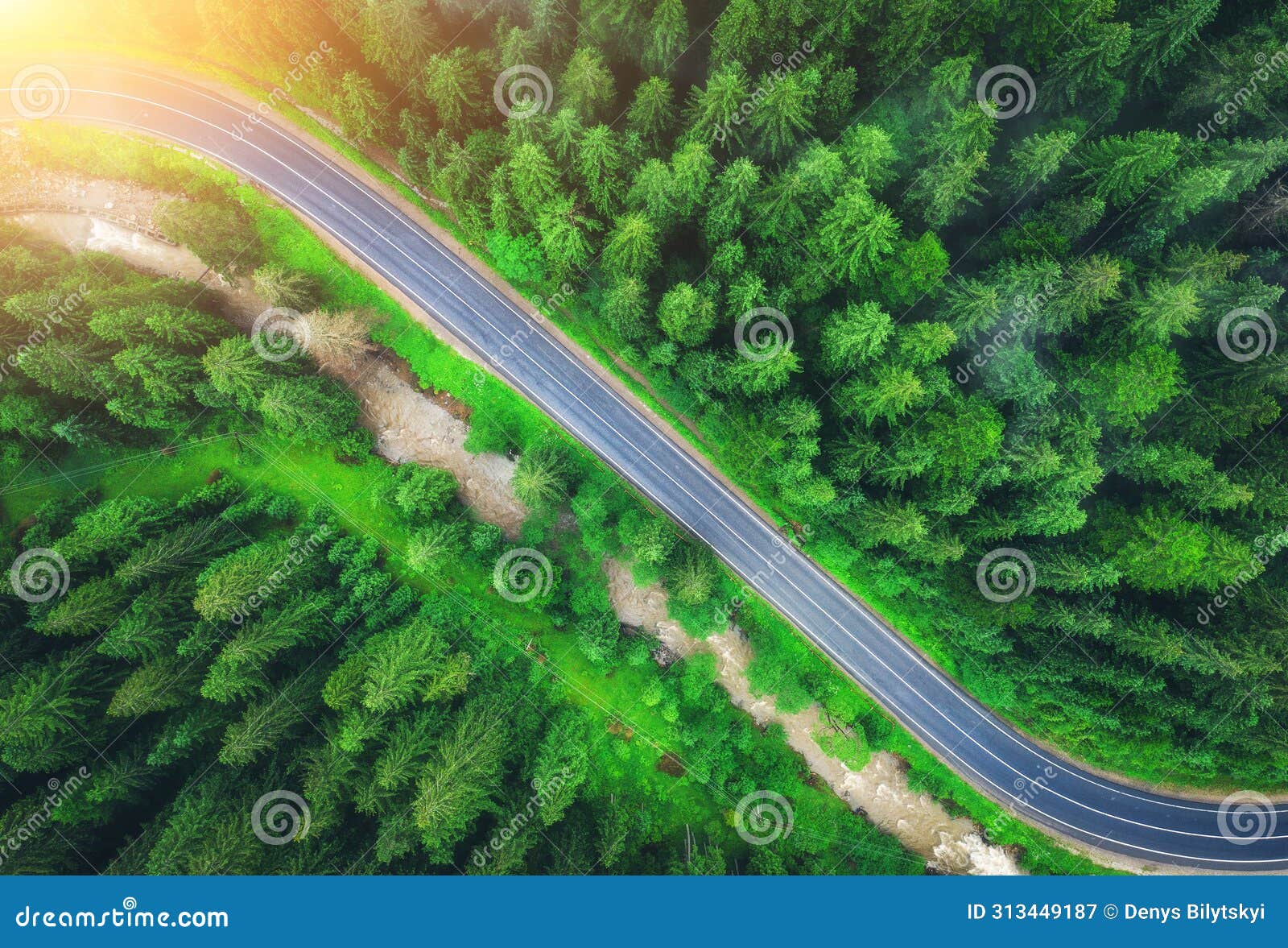 aerial view of road in beautiful green forest at sunset in summer