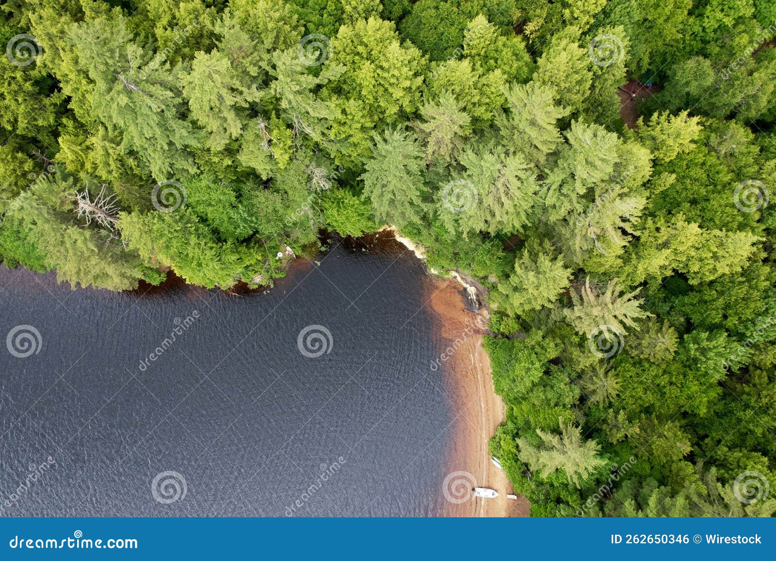 Aerial View of Sea Surrounded by Island with Dense Trees Stock Photo ...