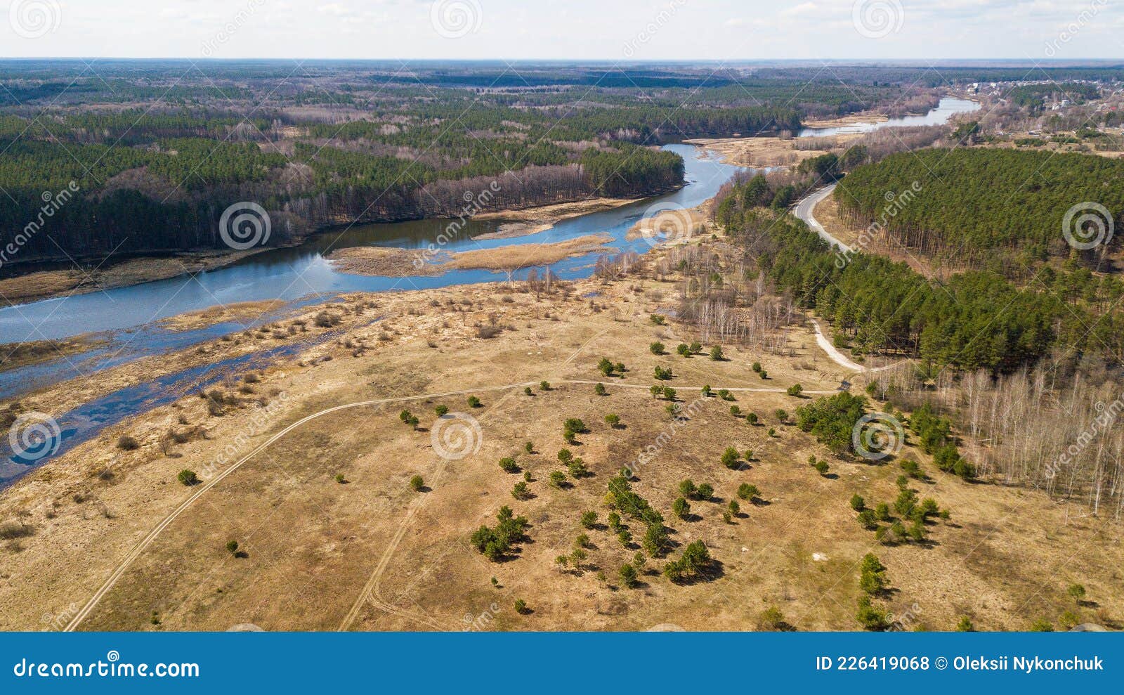 aerial view of the teterev river and the forest near the river