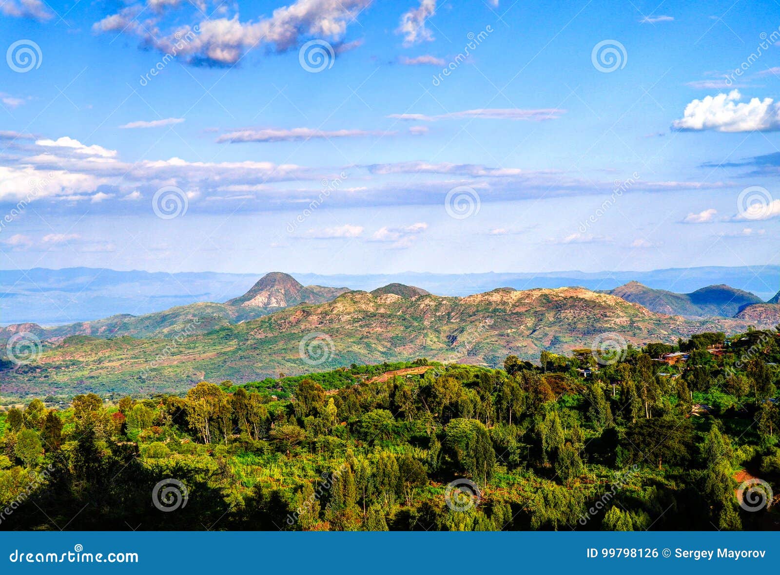 aerial view to mago national park, omo valley, etiopia