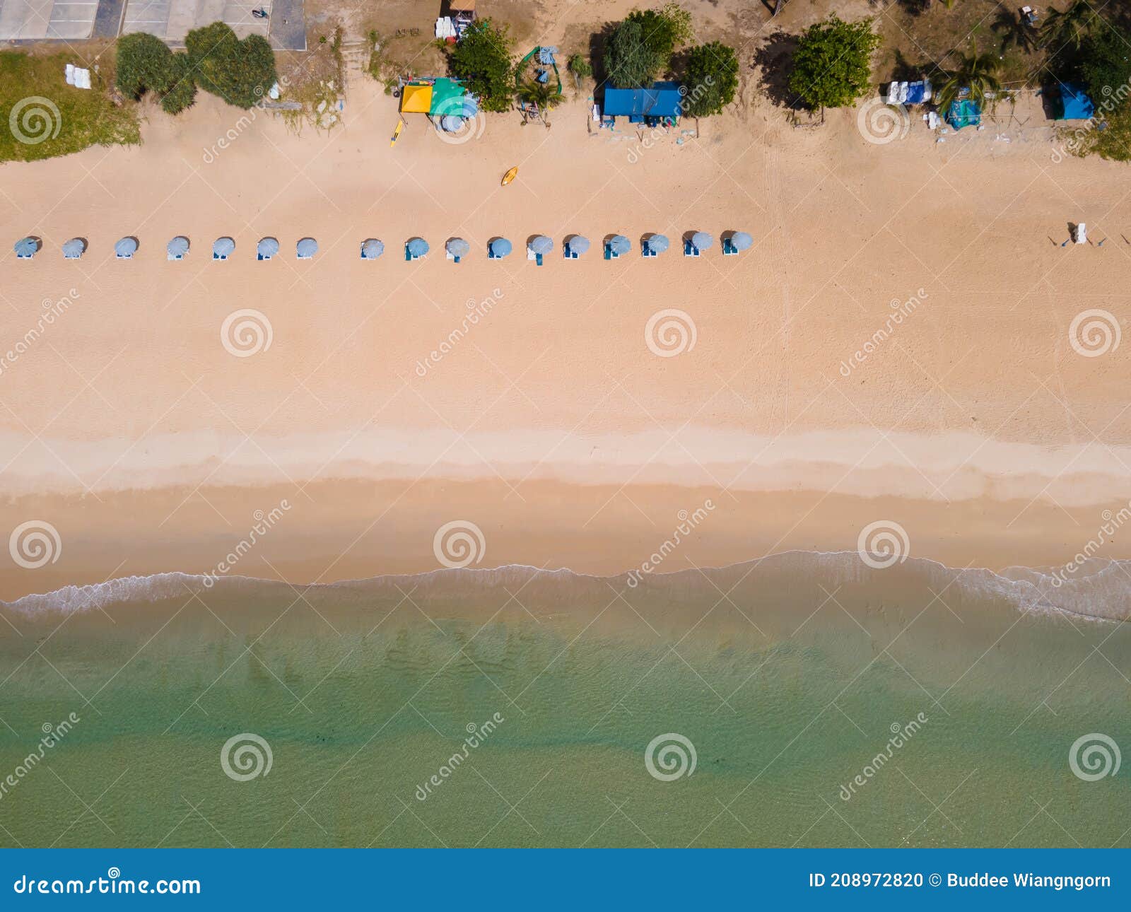 Aerial View Top Down. Palm Tree on Beach Sand Stock Photo - Image of ...