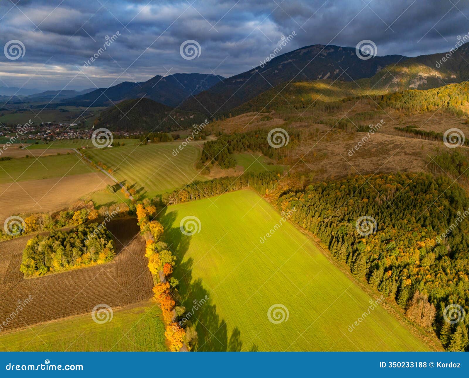 aerial view of tree alley near mosovce village in turiec region during autumn