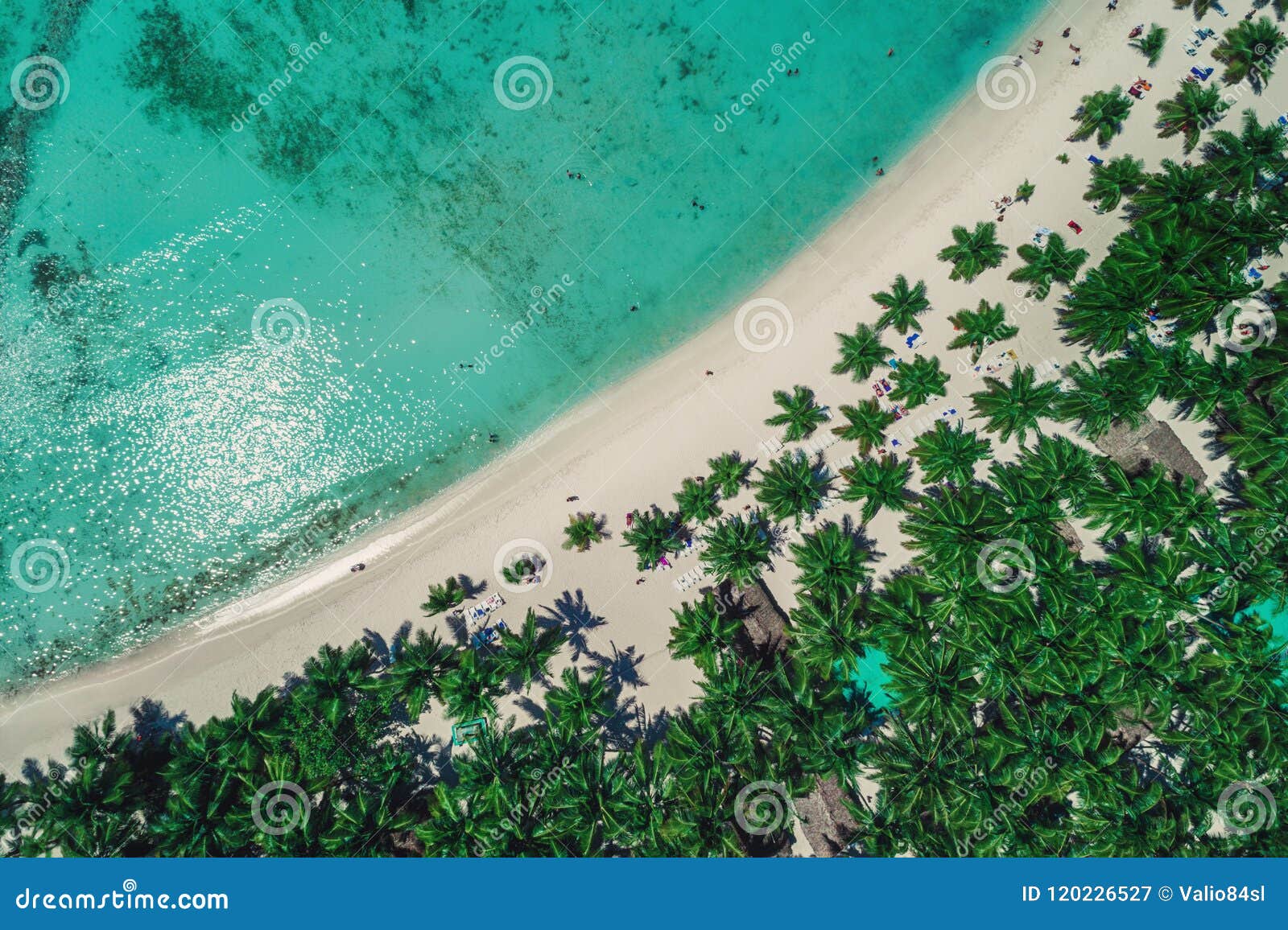 aerial view of tropical beach, dominican republic