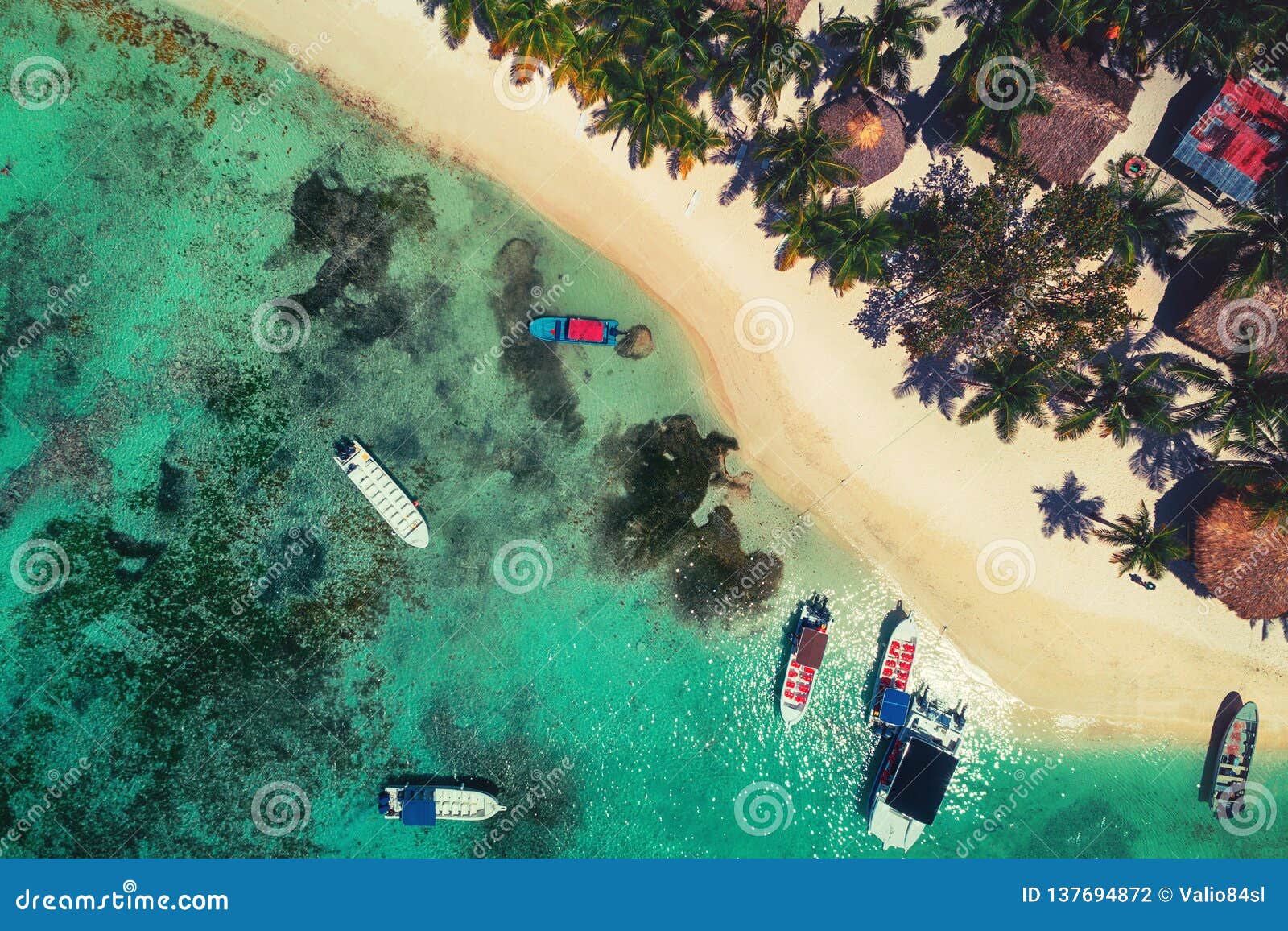 aerial view of tropical island beach in punta cana resort, dominican republic