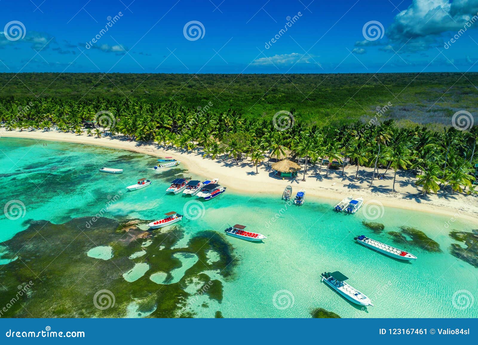 aerial view of tropical beach, dominican republic