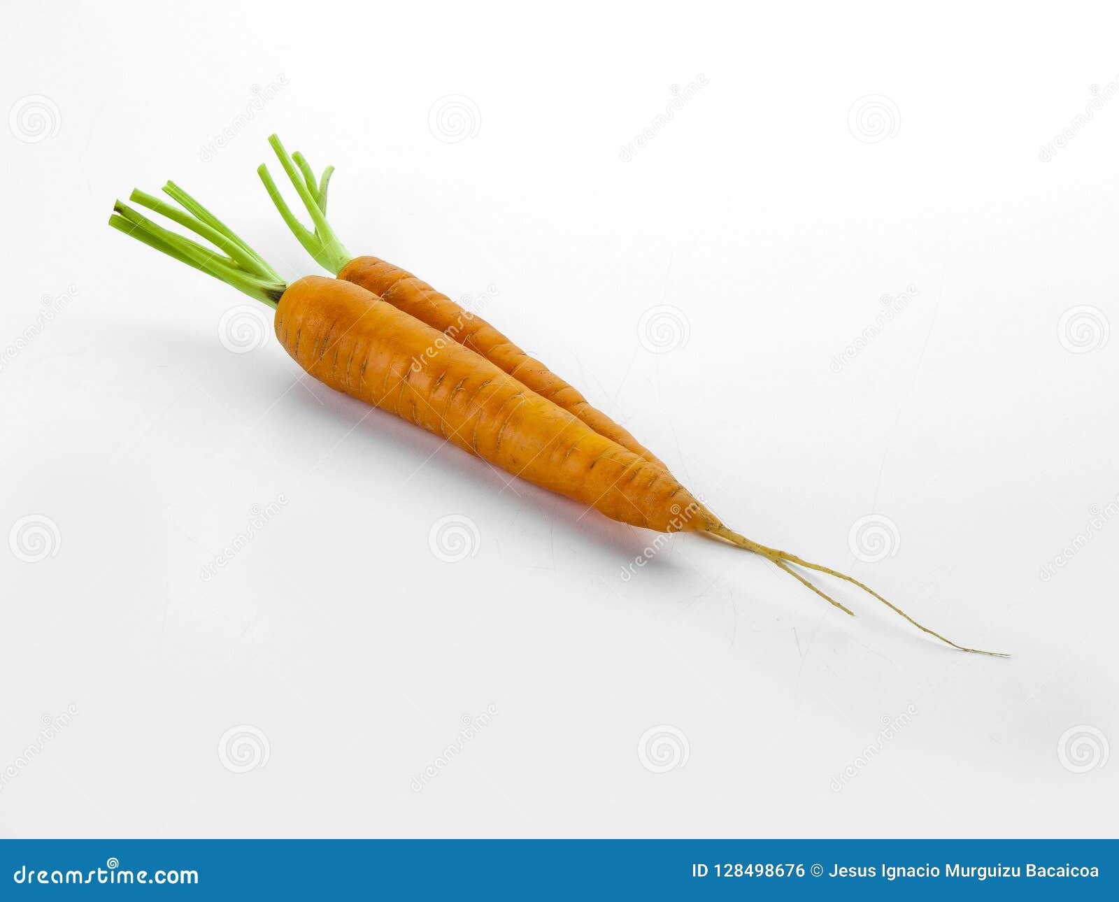 aerial view of two carrots with their respective branches abrir en el traductor de google enviar comentarios