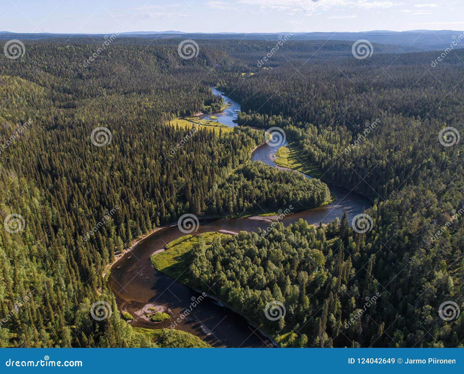 aerial view of vast boreal aka taiga forest