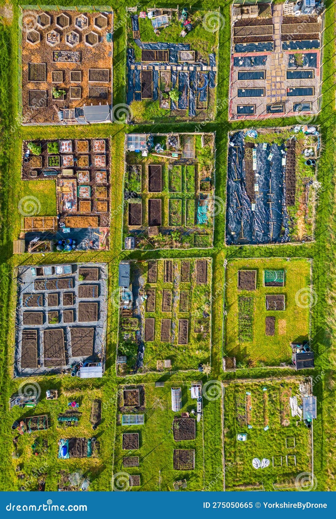 aerial view of vegetable allotments forming geometric pattern in spring weather