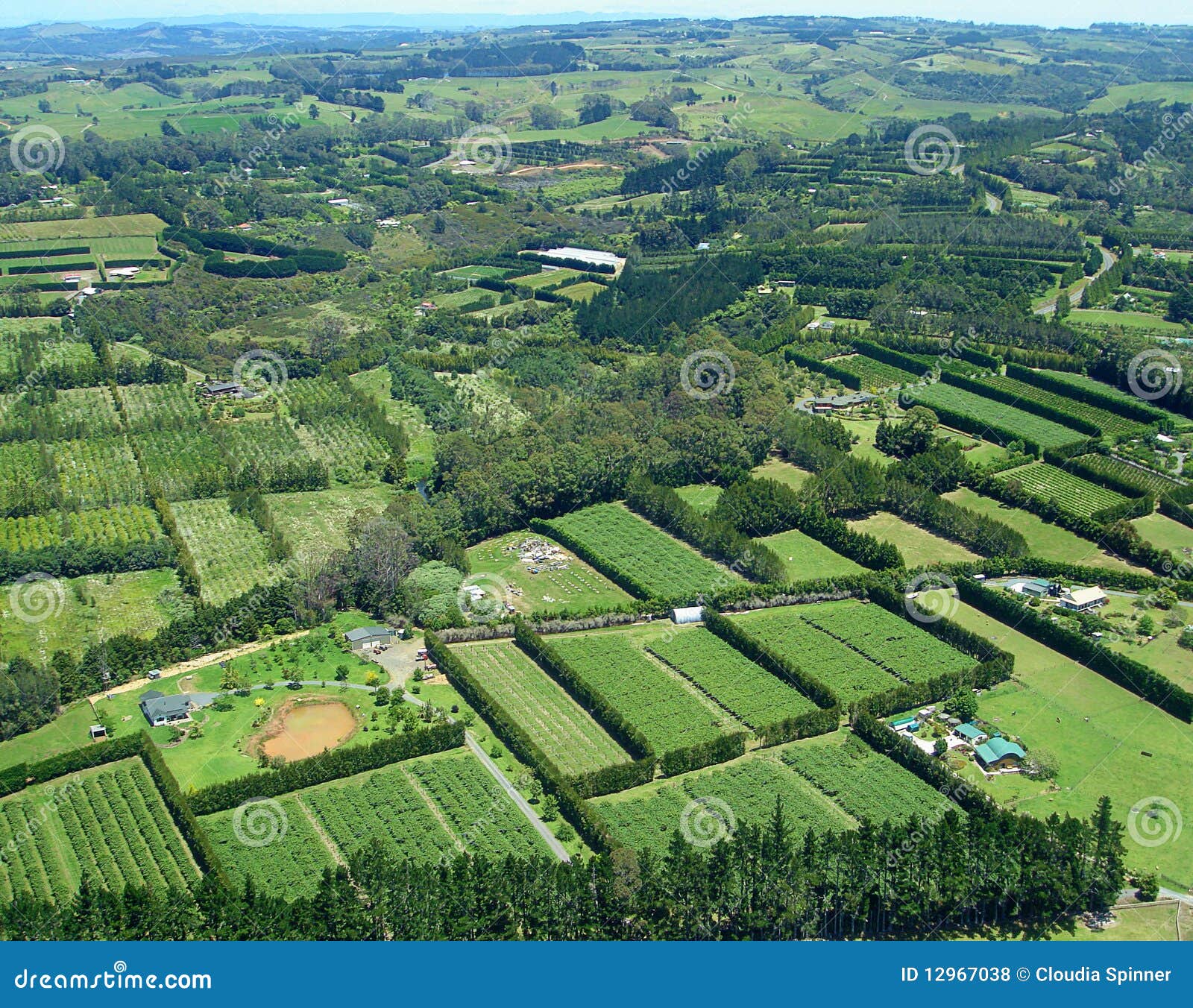 aerial view of vineyards and rural farms