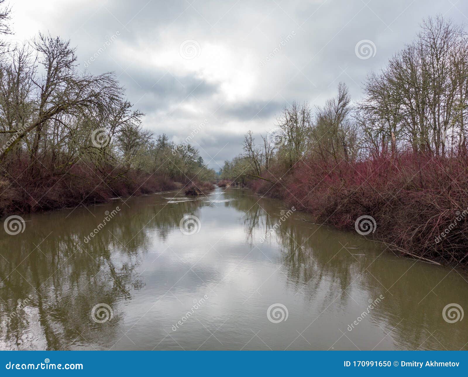 Aerial View at Tualatin River, Oregon Stock Photo Image of bushes