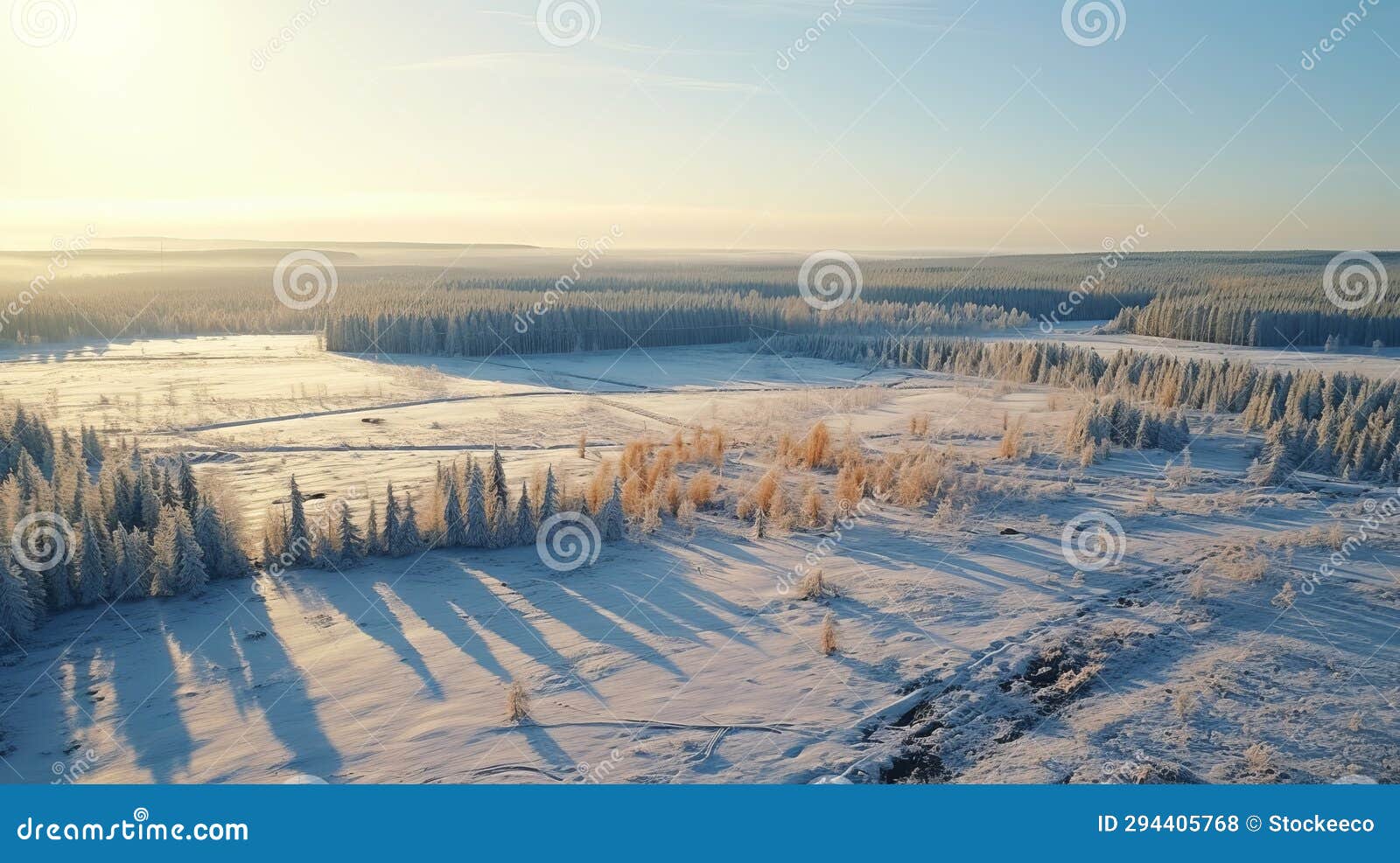 aerial view winter forest in turbina, russia - uhd stock photo