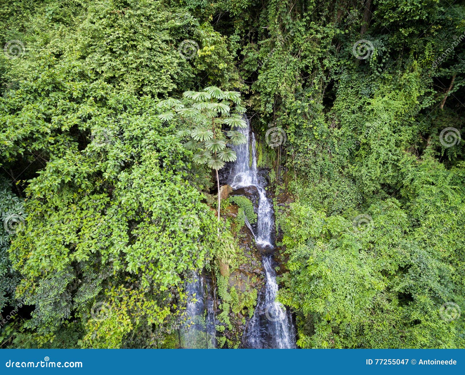 aerial waterfall in the west african rainforest, congo.