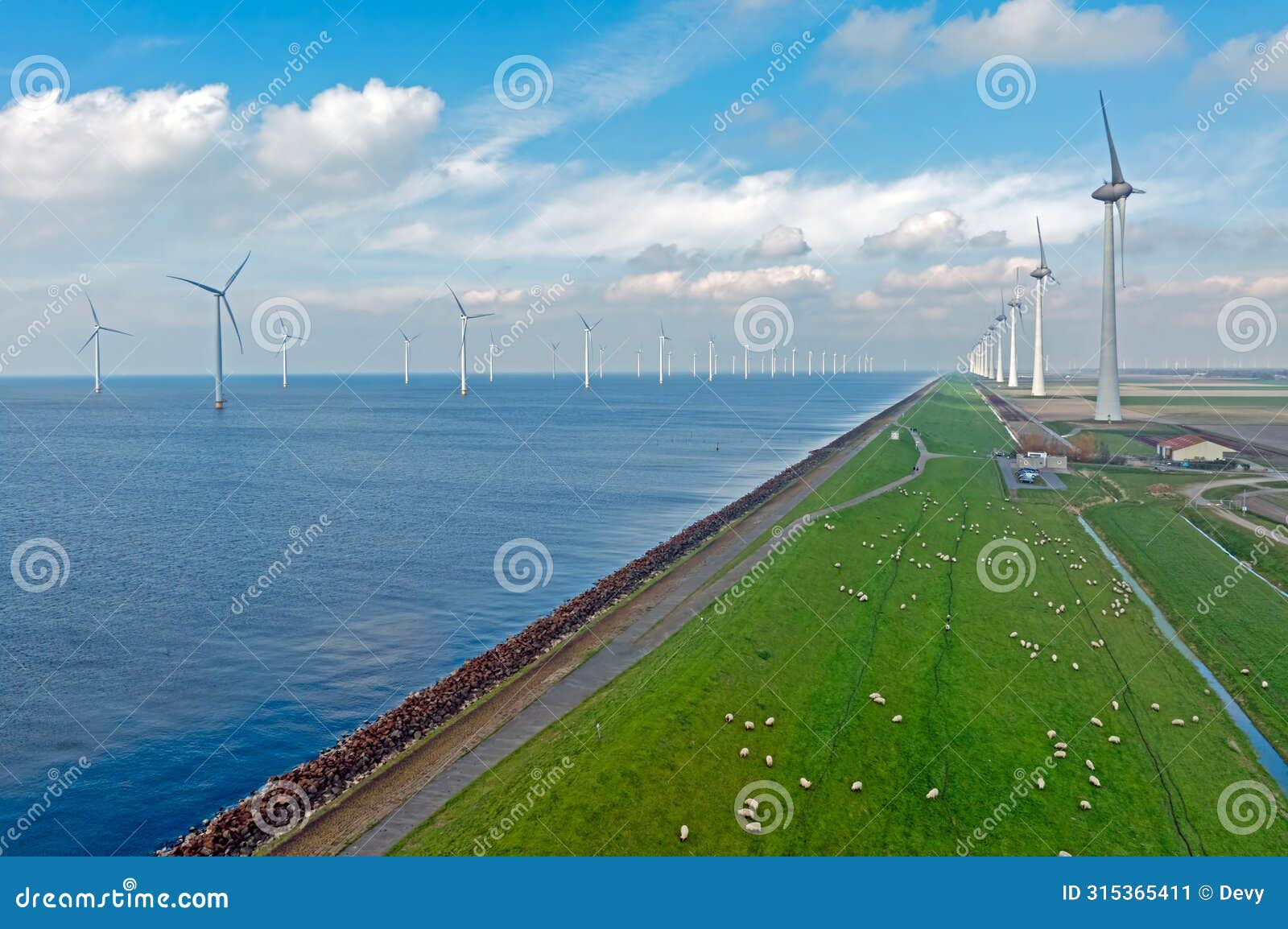aerial from wind turbines at the ijsselmeer in the netherlands with sheep on the dyke
