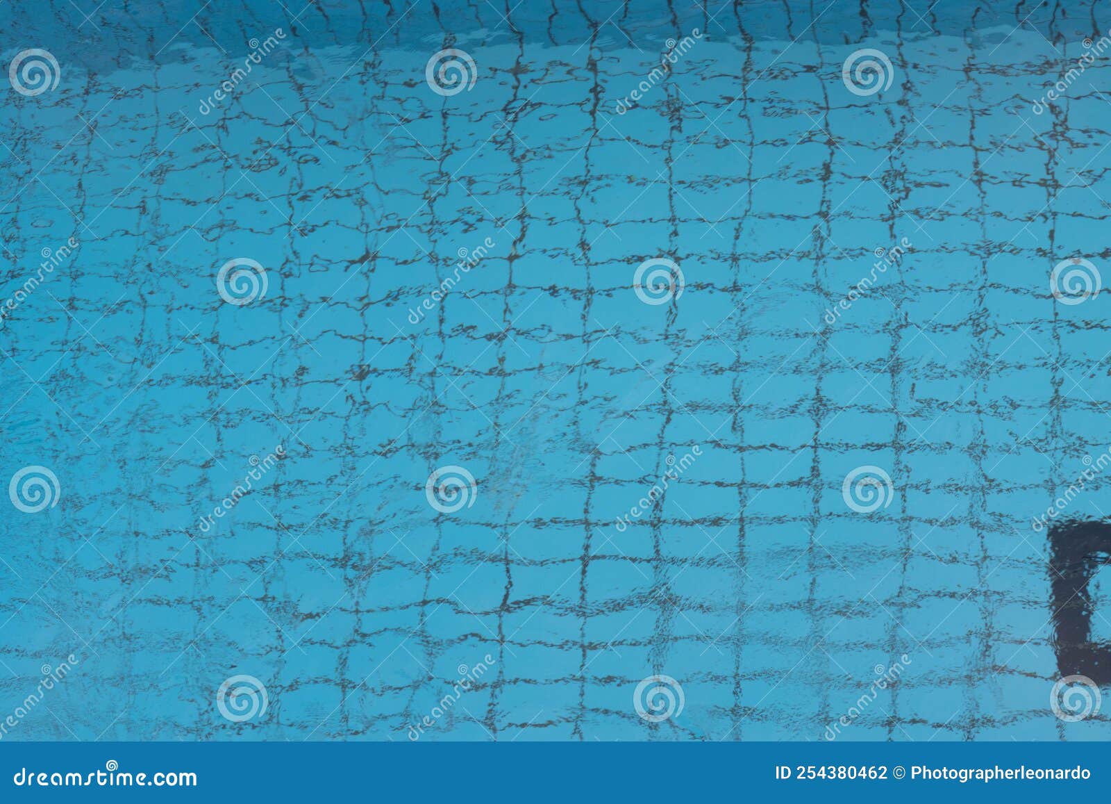 aerial or zenital view of swimming pool
