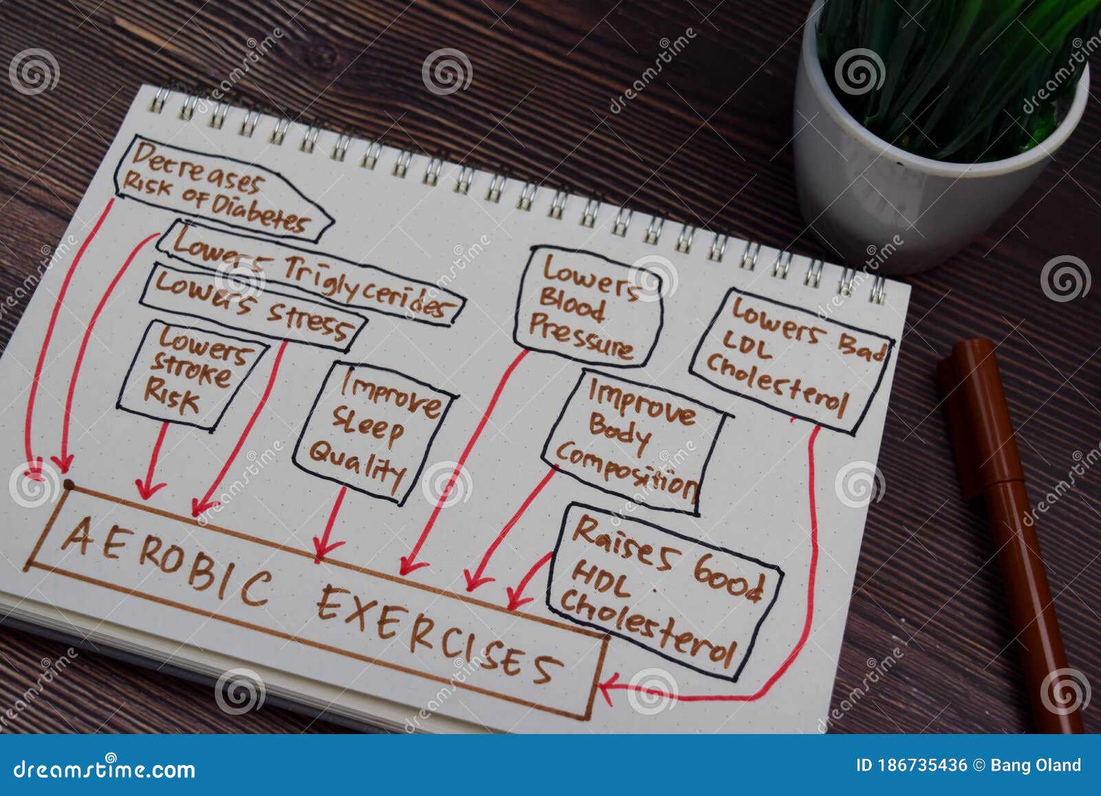 aerobic exercise write on a book with keywords  wooden table