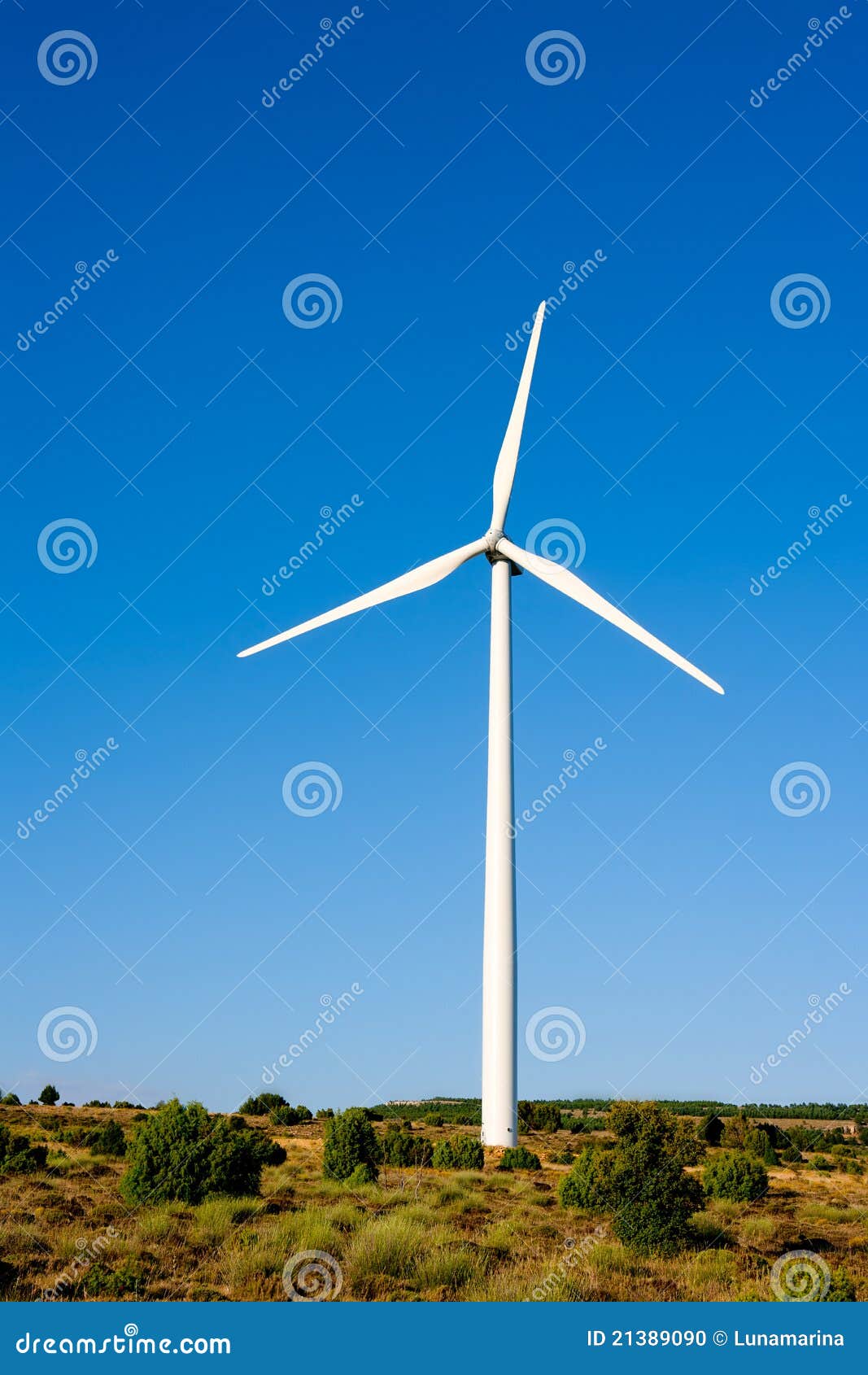aerogenerator windmill in sunny blue sky
