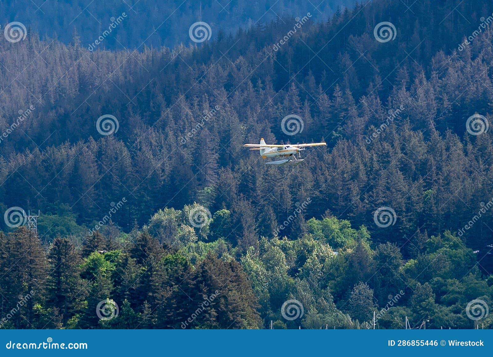 Aeroplane Gliding through the Sky at a Low Altitude, Soaring Above a