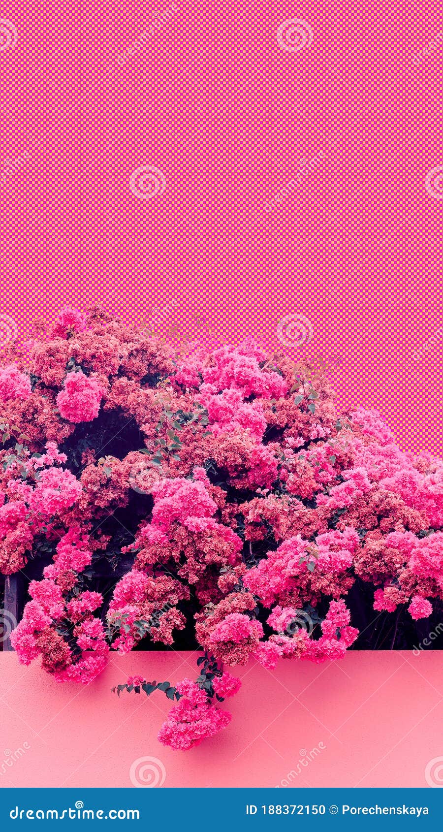 Aesthetic Collage Wallpaper. Pink Blooming Flowers. Spring Coming Stock  Photo - Image of landscape, tropic: 188372150