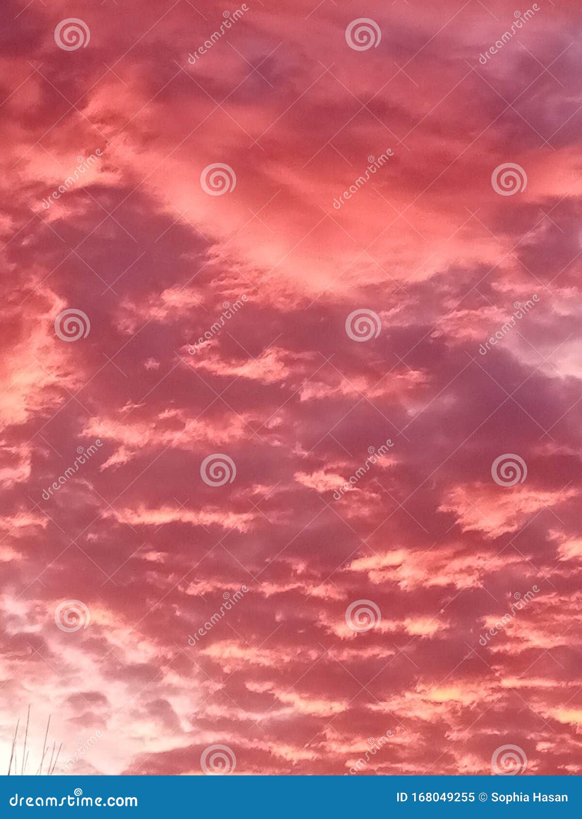 Aesthetic Pink Sky Stock Image Image Of Pink Evening 168049255 https www dreamstime com aesthetic pink sky image168049255