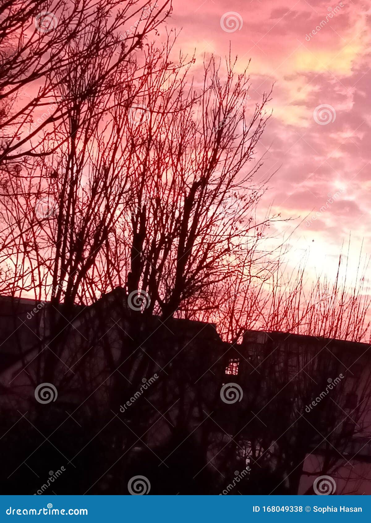 Aesthetic Pink Sky Stock Photo Image Of Scenery Magic 168049338
