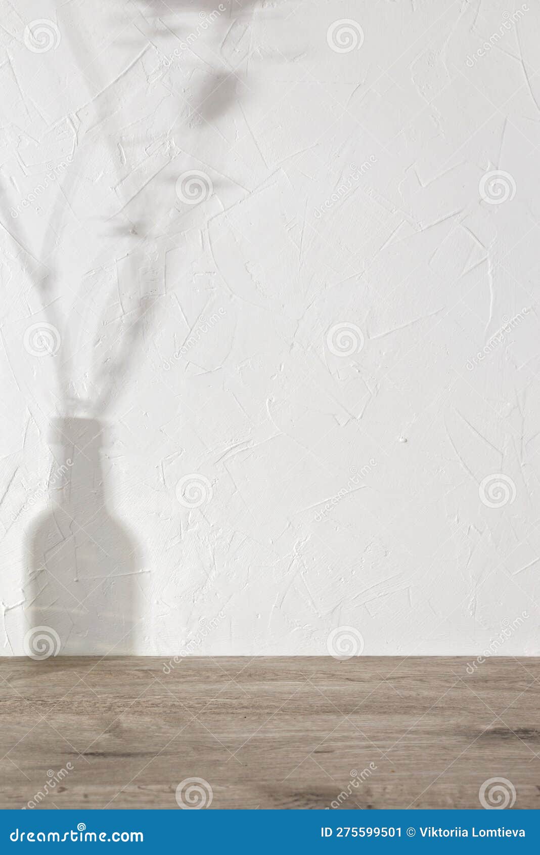 Aesthetic Sunlight Shadow, Flowers in Vase Silhouette on White Textured ...