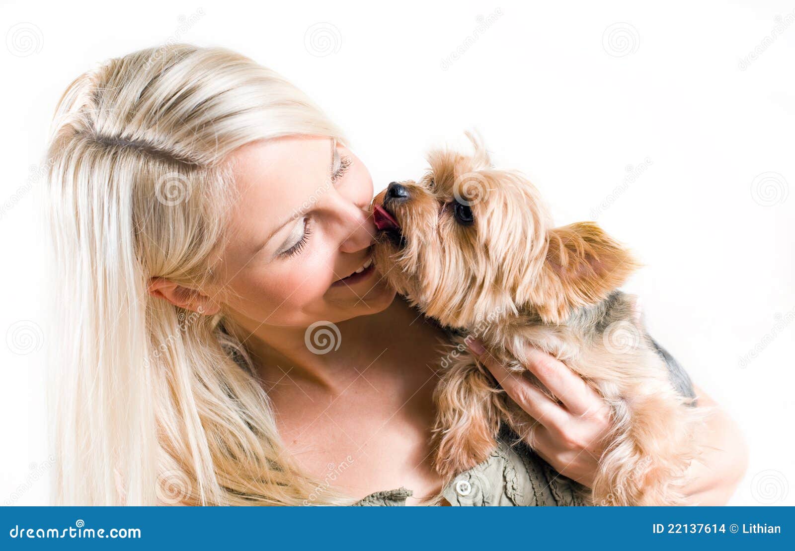 Affectionate pet. stock photo. Image of animal, tongue 22137614