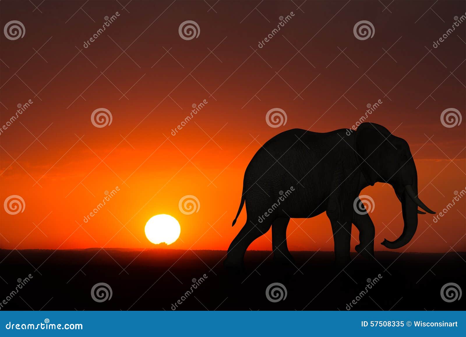africa elephant sunrise sunset wildlife