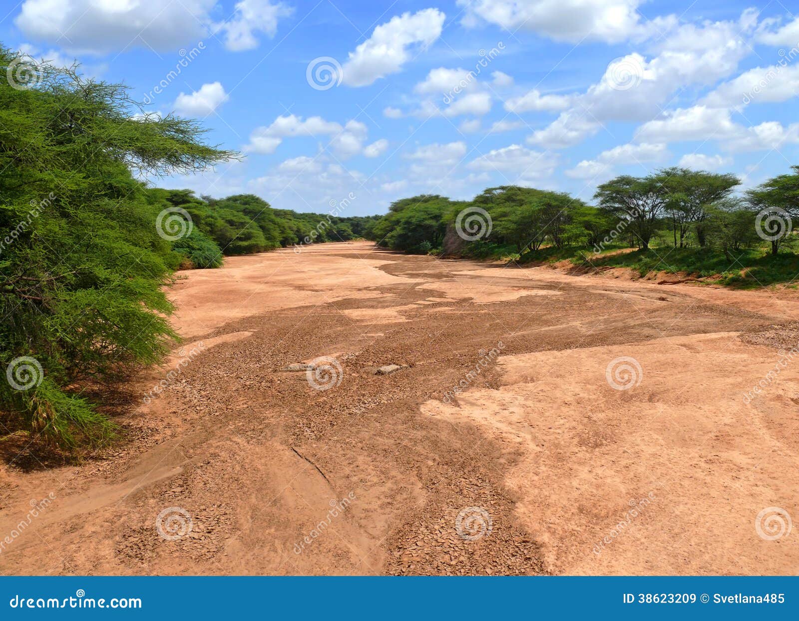 Africa, Kenya. Dry Riverbed. Landscape Nature. Stock - Image of country, plants: 38623209