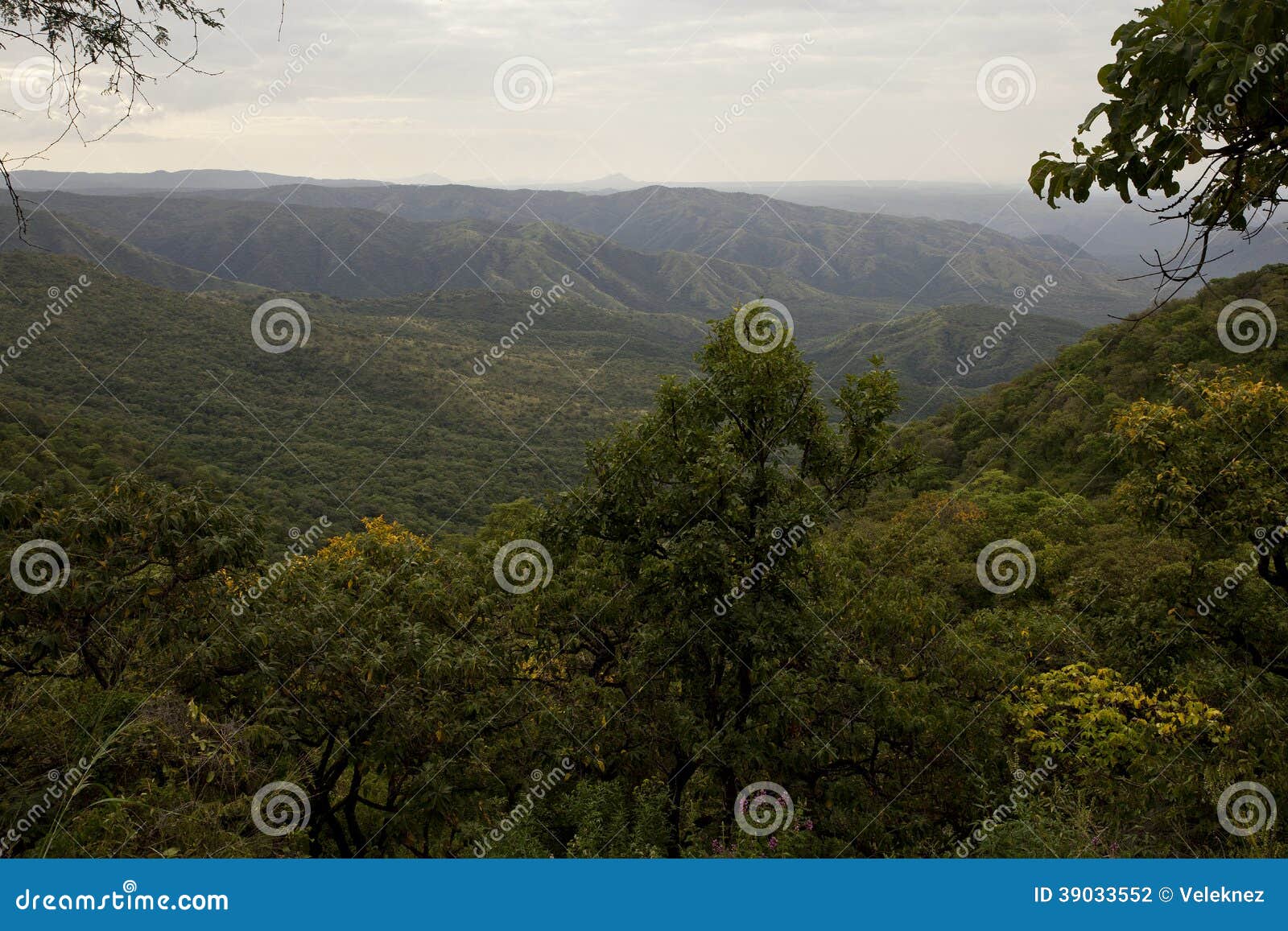 africa, south ethiopia, mago national park