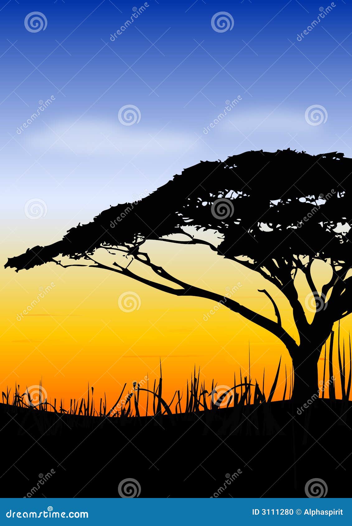 africa sundown landscape