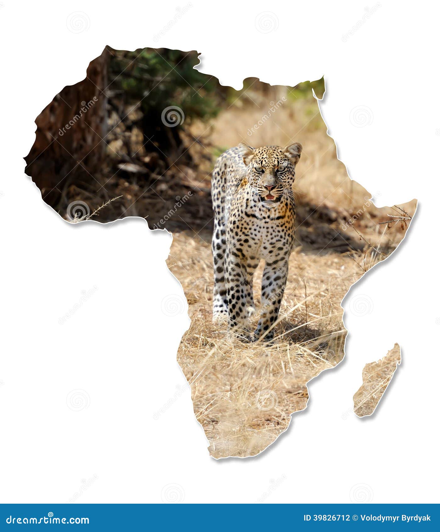 Africa Wildlife Map Design Isolated White 39826712 