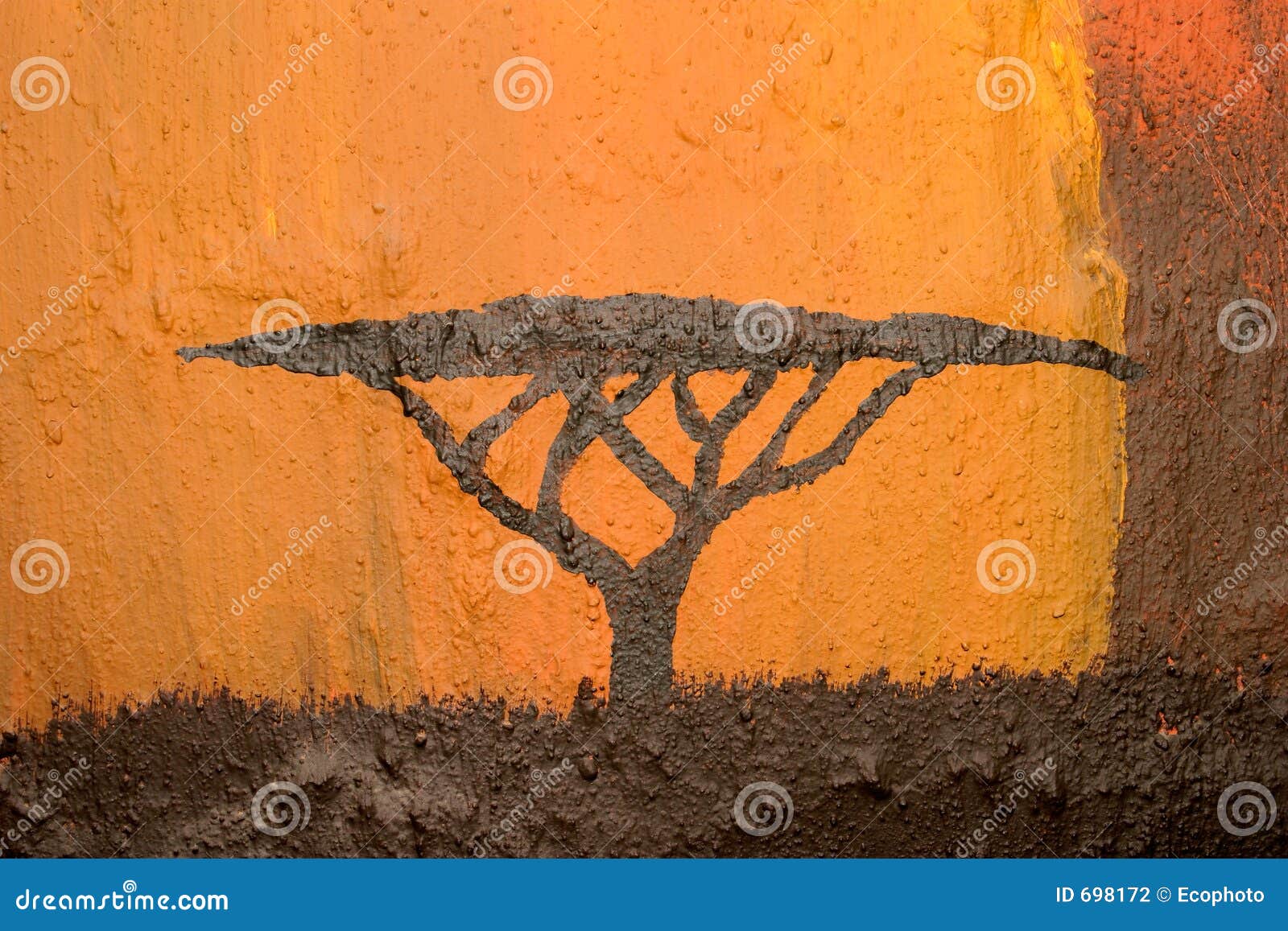 african acacia tree