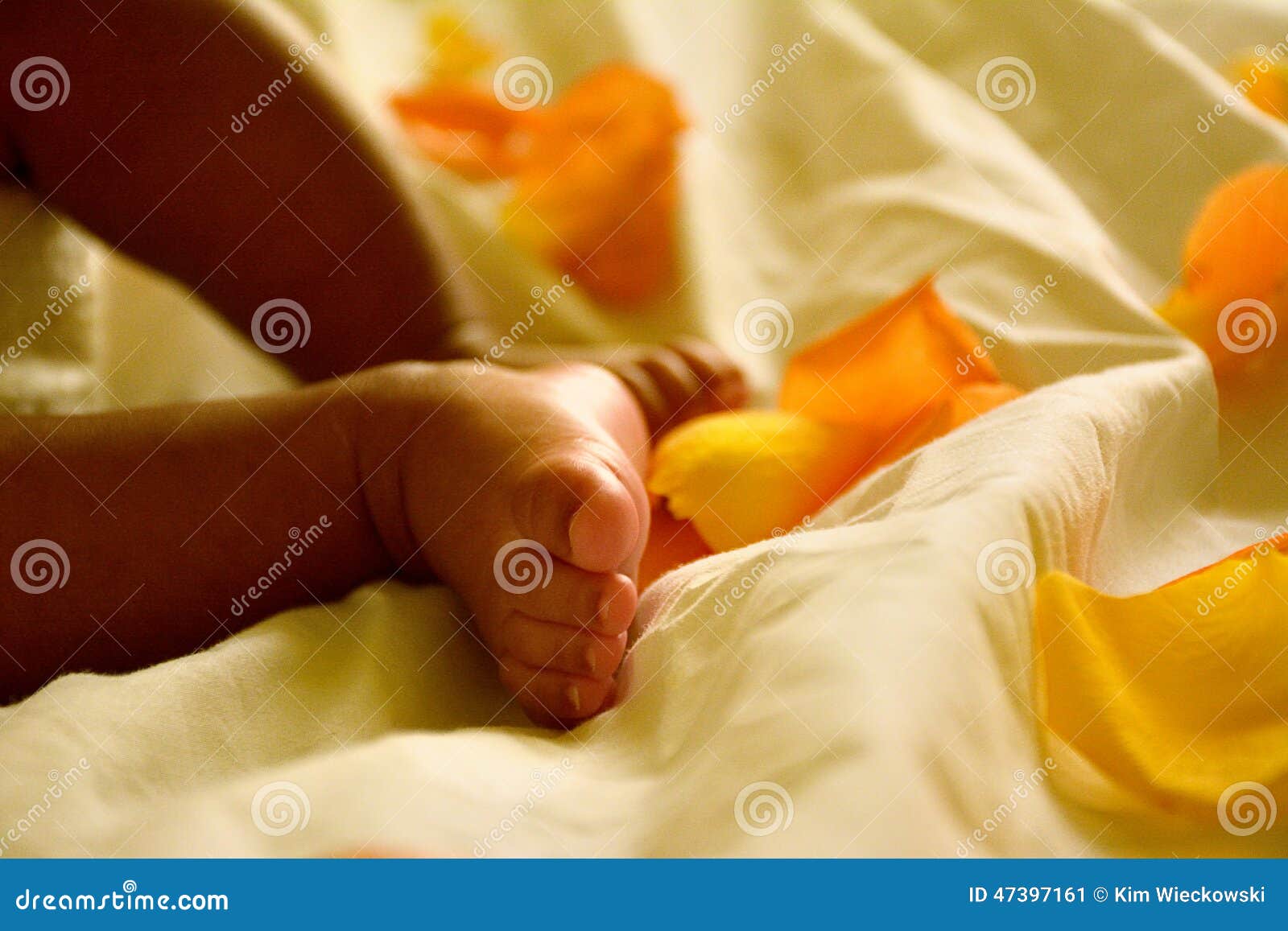 african american infant feet and legs surround by rose petals