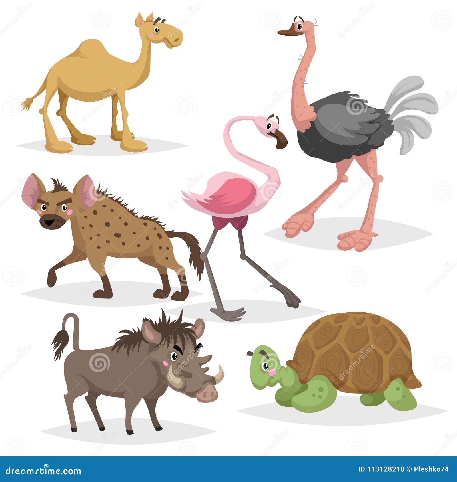african animals cartoon set. camel, big african turtle, flamingo, hyena, warthog and ostrich. zoo wildlife collection.  illu