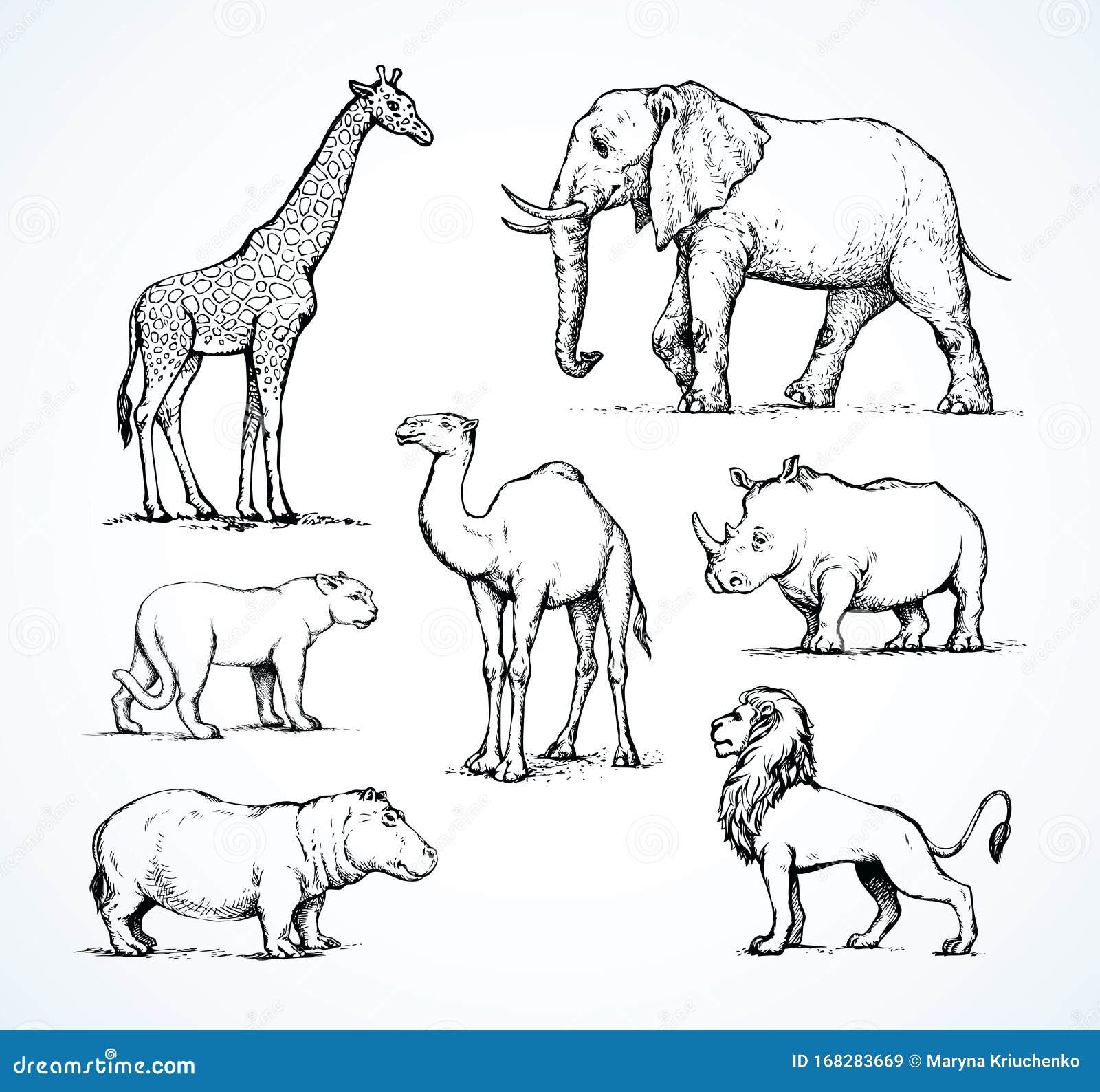 African Animals. Vector Drawing Stock Vector - Illustration of africa, camel: 168283669 African Animals. Vector Drawing Stock Vector - Illustration of africa, camel: 168283669