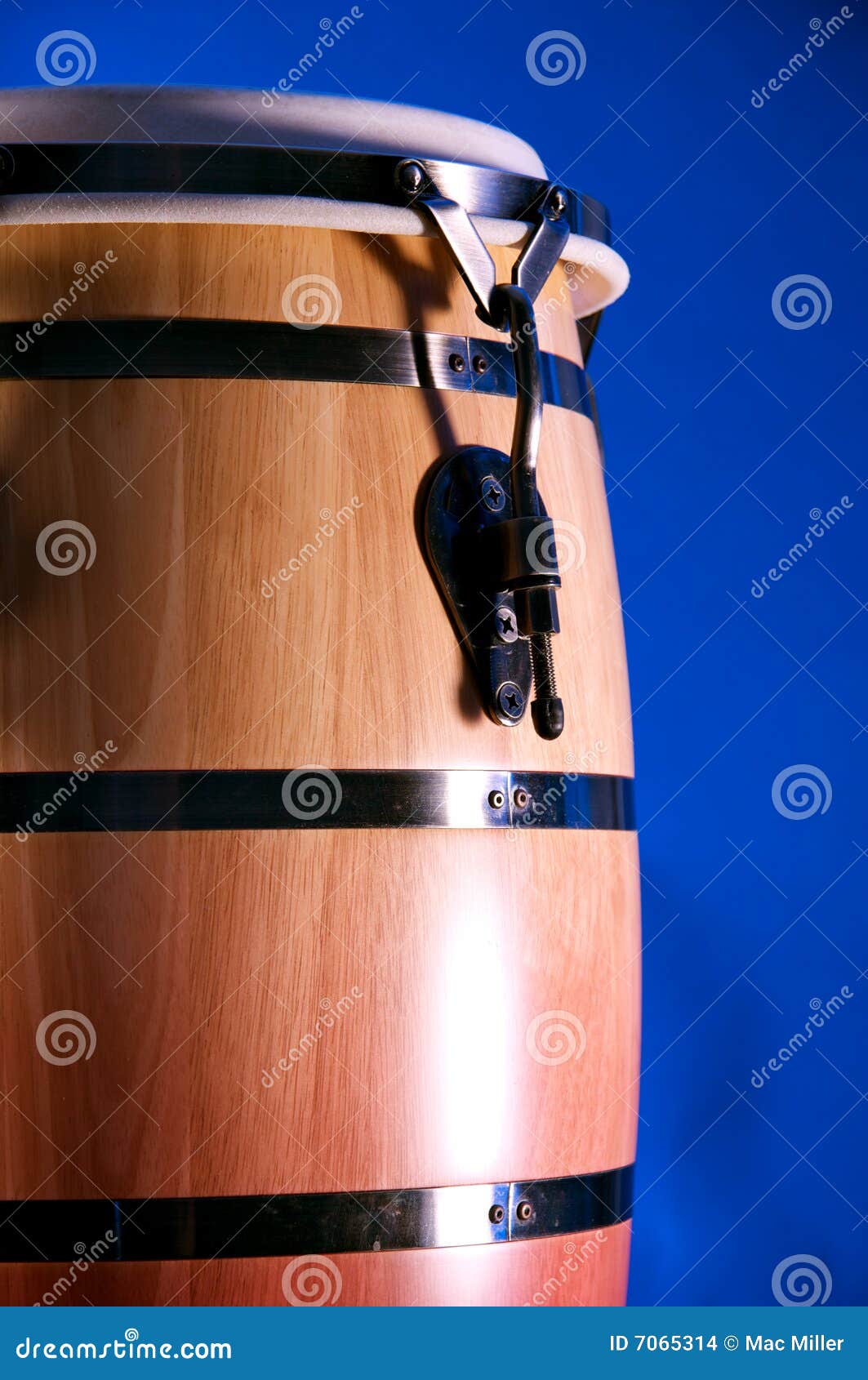 African Conga Drum Isolated on Blue Stock Photo Image of blue