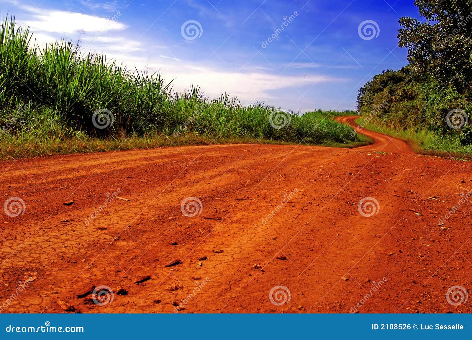 african-dirt-track-2108526.jpg