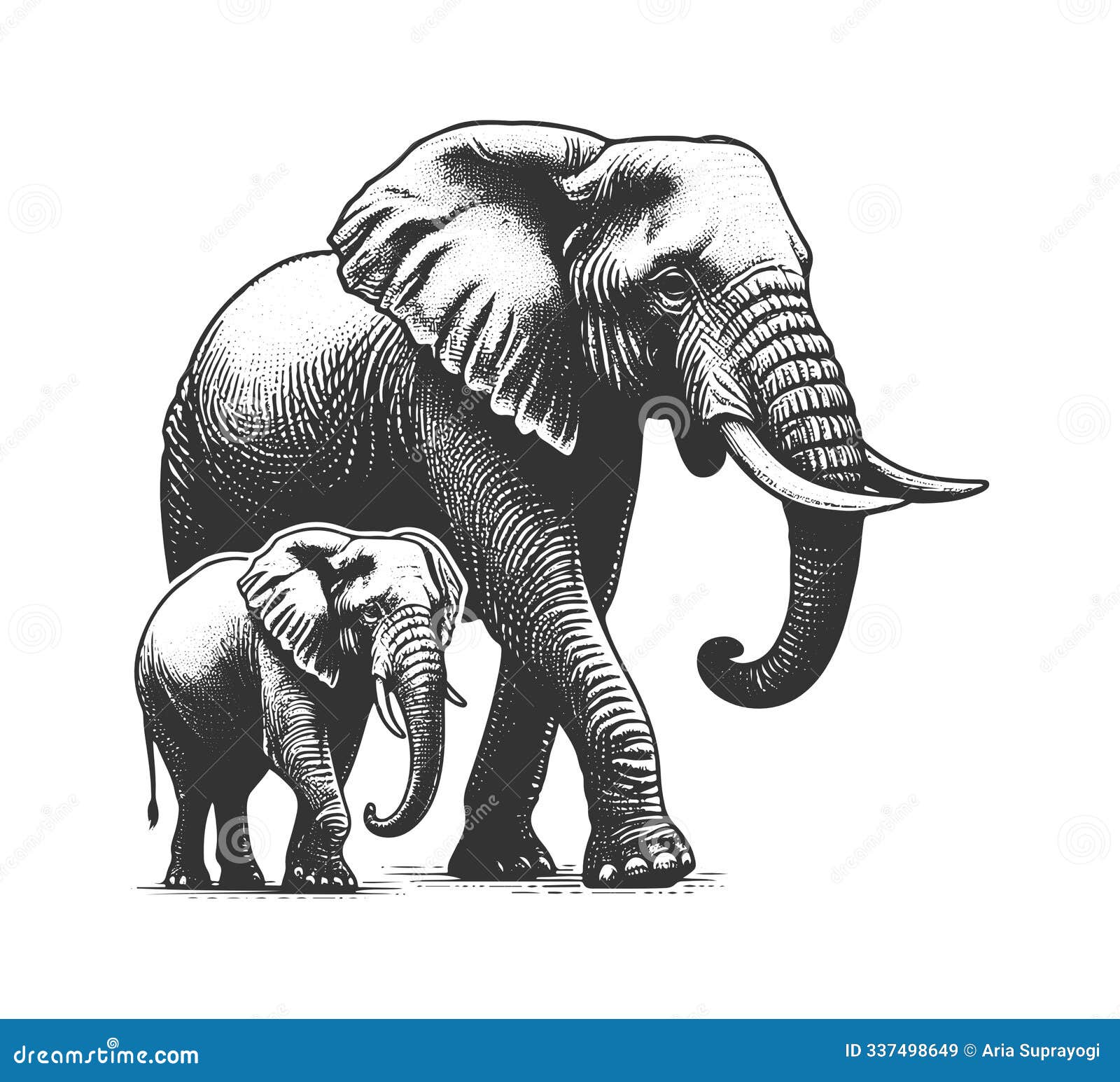 african elephant hand drawn  