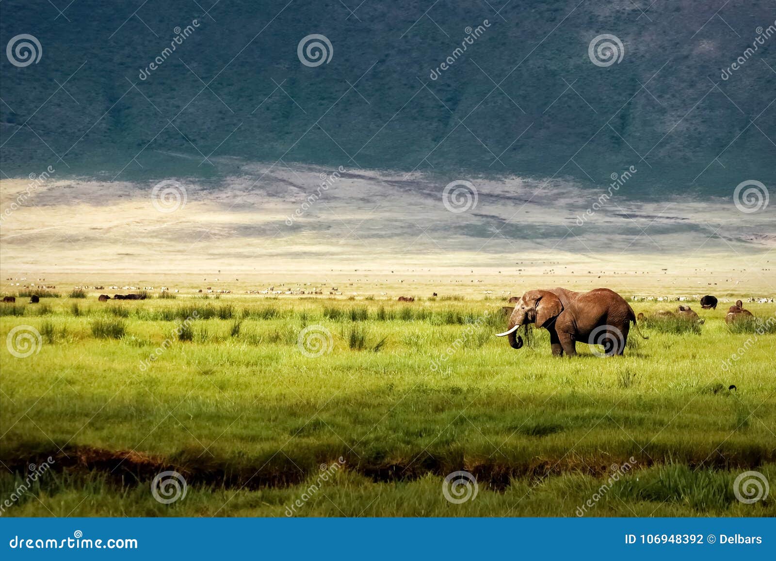 african elephant in the ngorongoro crater in the background of mountains.