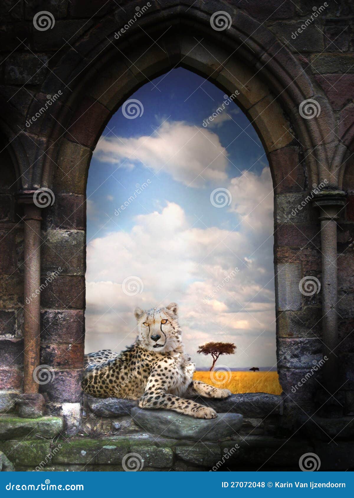 African Gateway. Cheetah lying in portal as guard. In background an african savanna landscape.