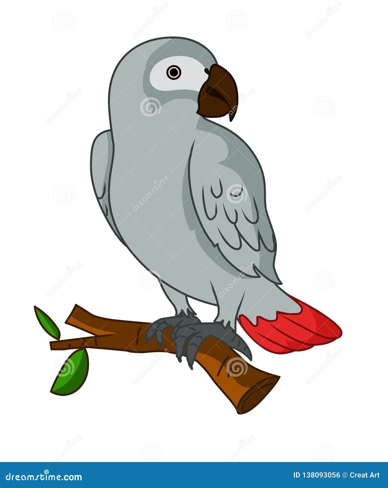 African Grey Parrot Illustration Vector.Parrot Vector Stock Vector