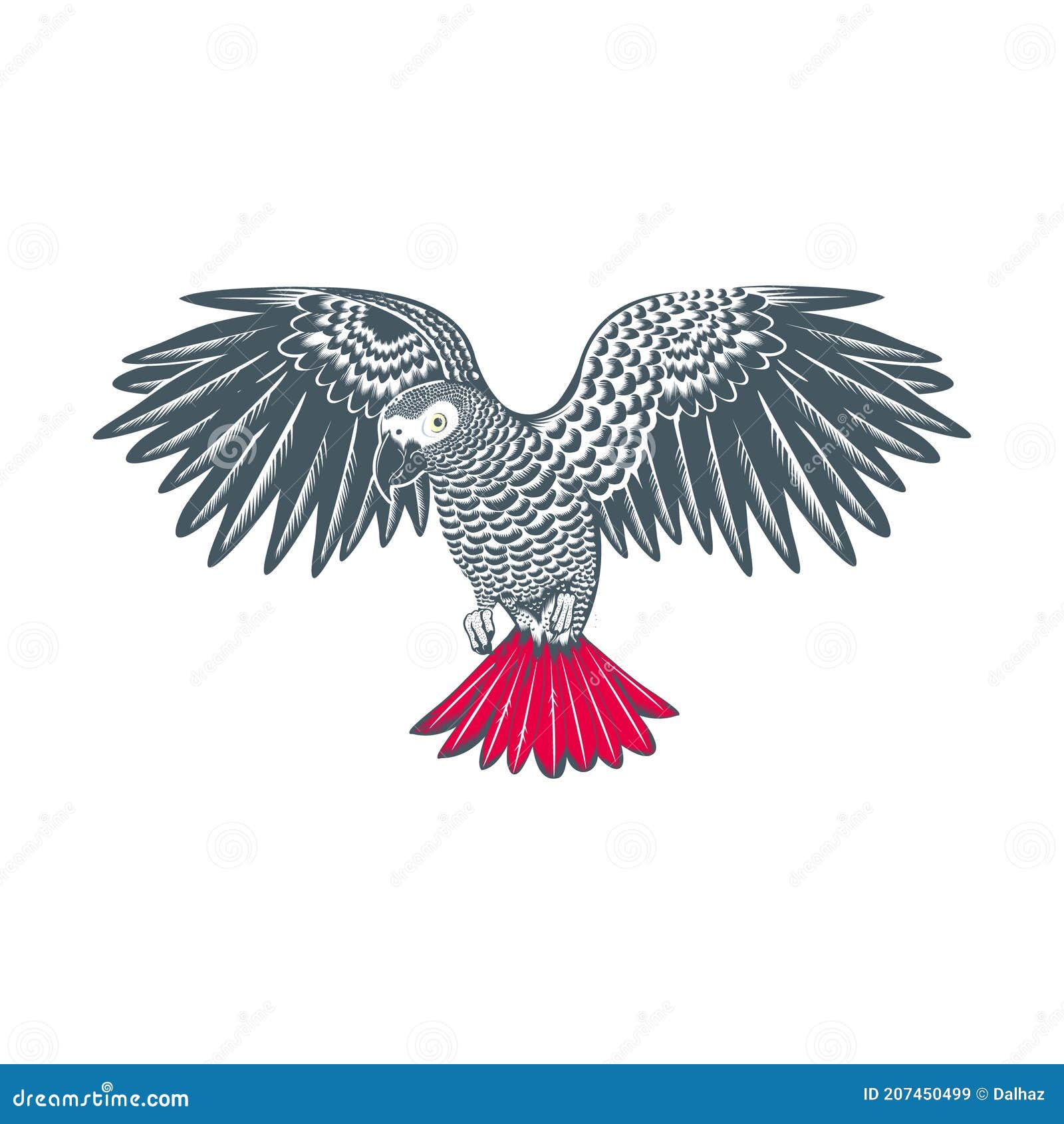 African Grey Parrot Vector Logo Stock Vector - Illustration of