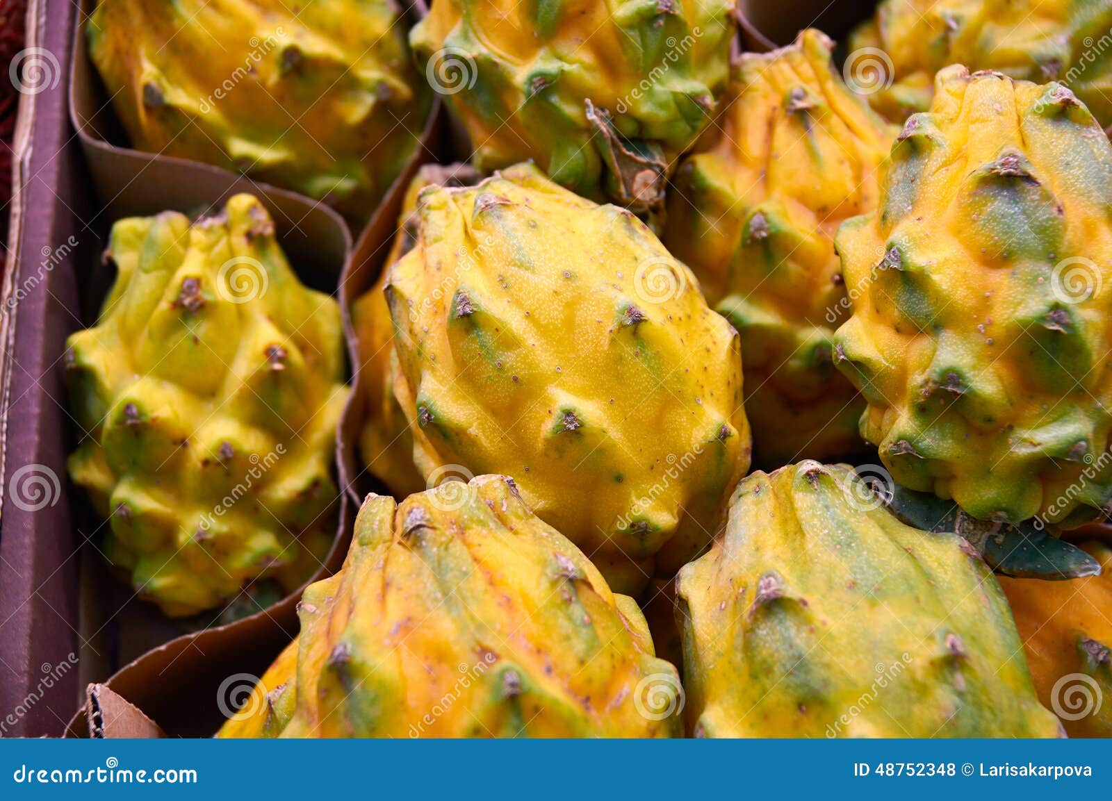 African Horned Cucumber With Yellow Skin Stock Photo - Image of spines, horned: 48752348