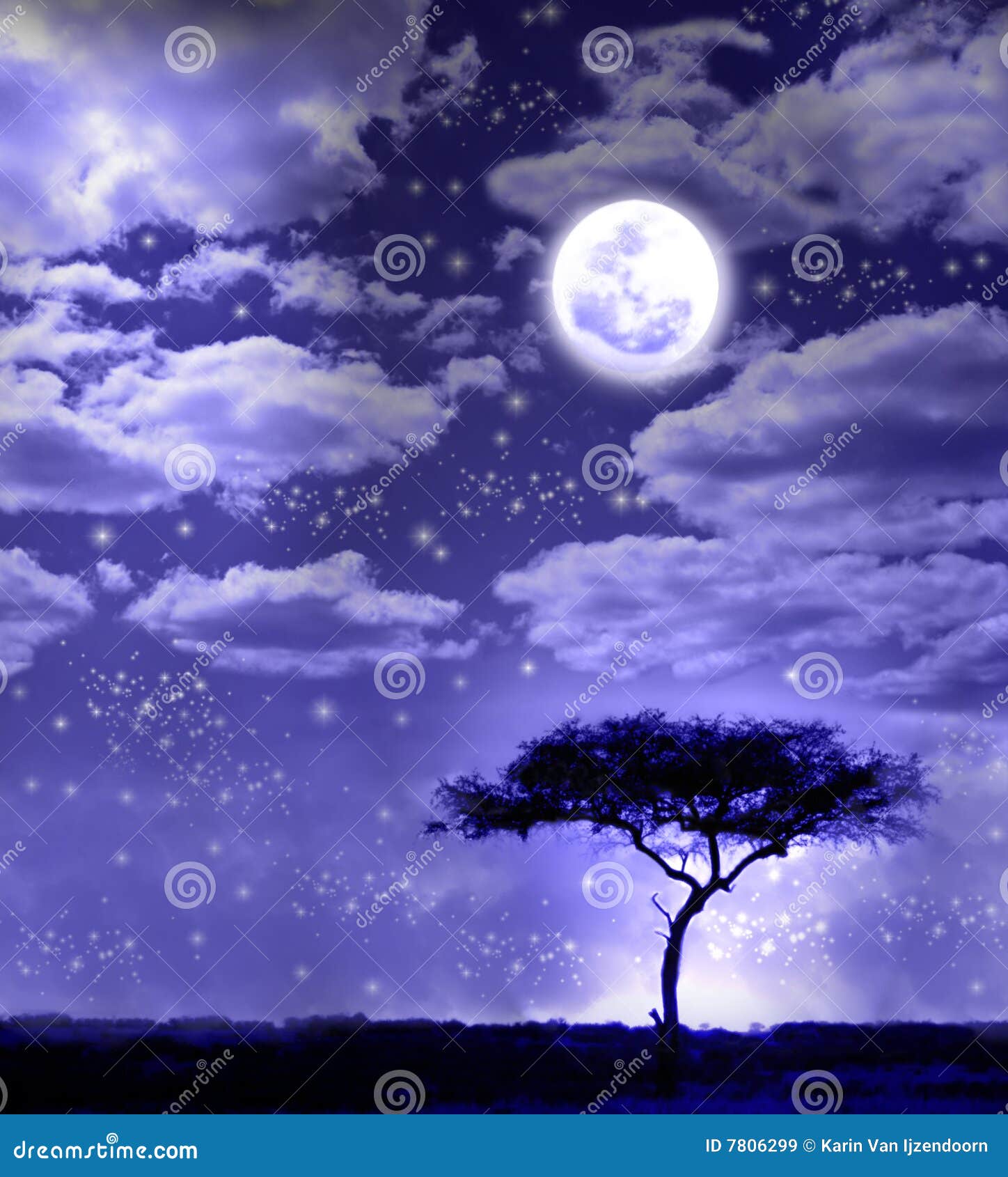 african landscape in moonlight