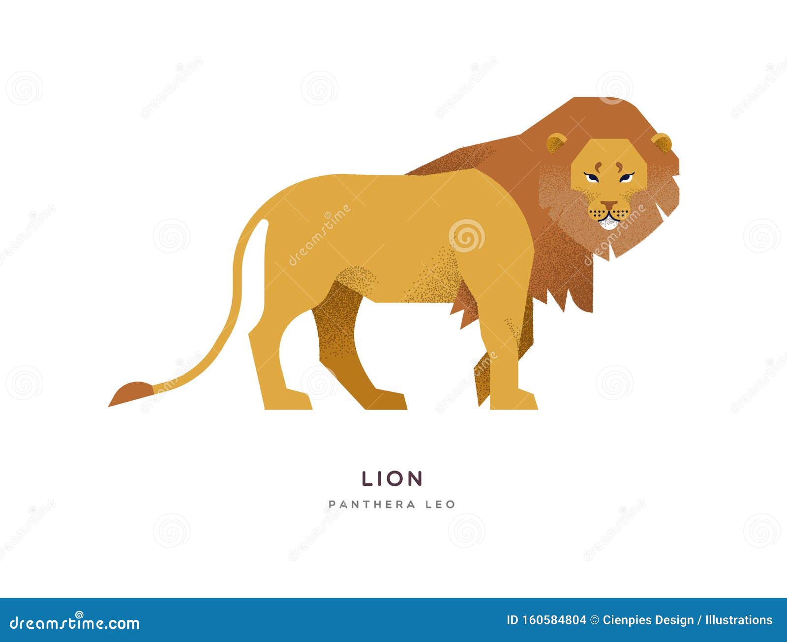 African Lion Wild Animal on Isolated Background Stock Vector - Illustration  of nature, africa: 160584804