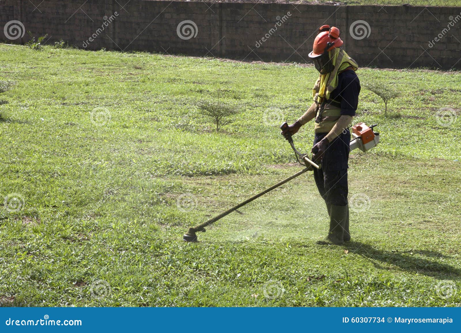 African Man Cutting the Lawn Stock Photo Image of gardener, farmer