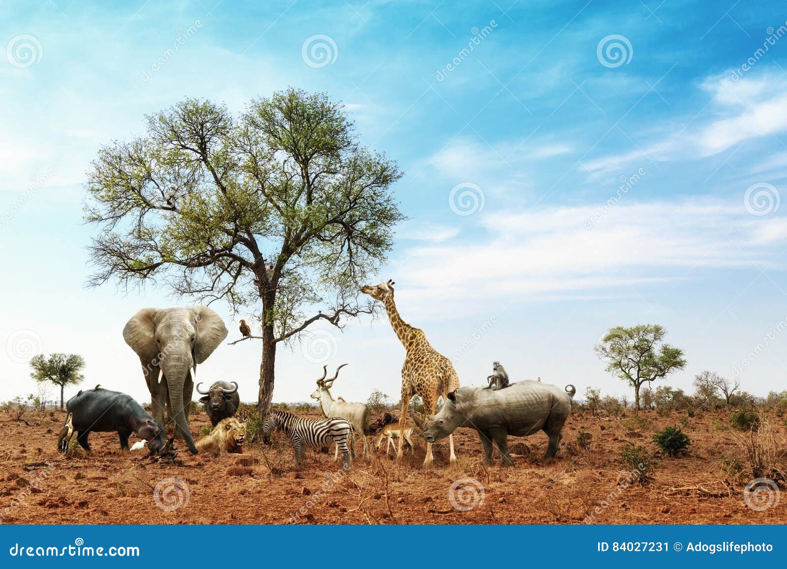 african safari animals meeting together around tree