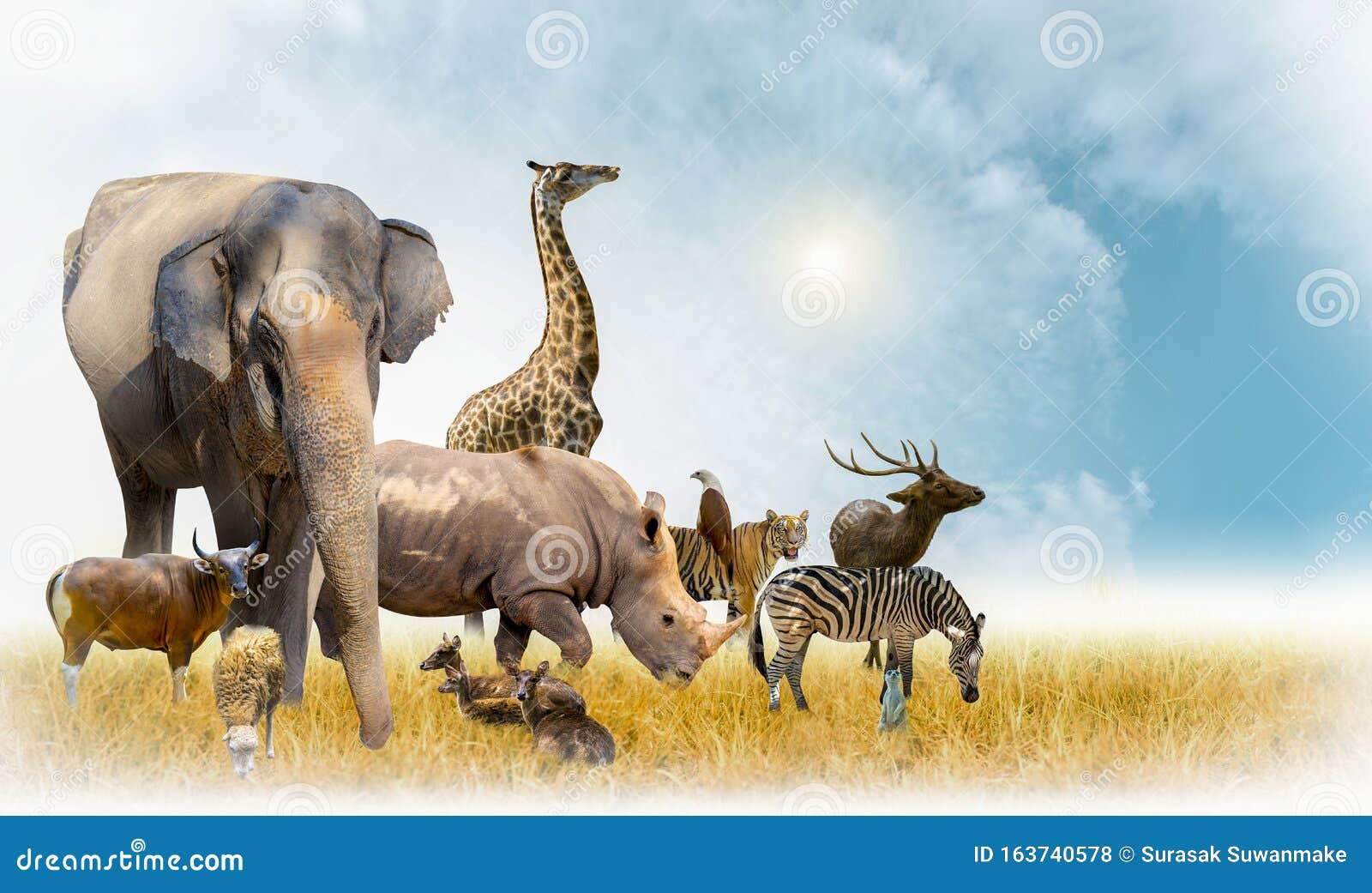 African Safari and Asian Animals in the Theme Illustration, Filled with Many Animals, a White Border Image Stock Photo - Image of hunter, isolated: 163740578 African Safari and Asian Animals in the Theme Illustration, Filled with Many Animals, a White Border Image Stock Photo - Image of hunter, isolated: 163740578