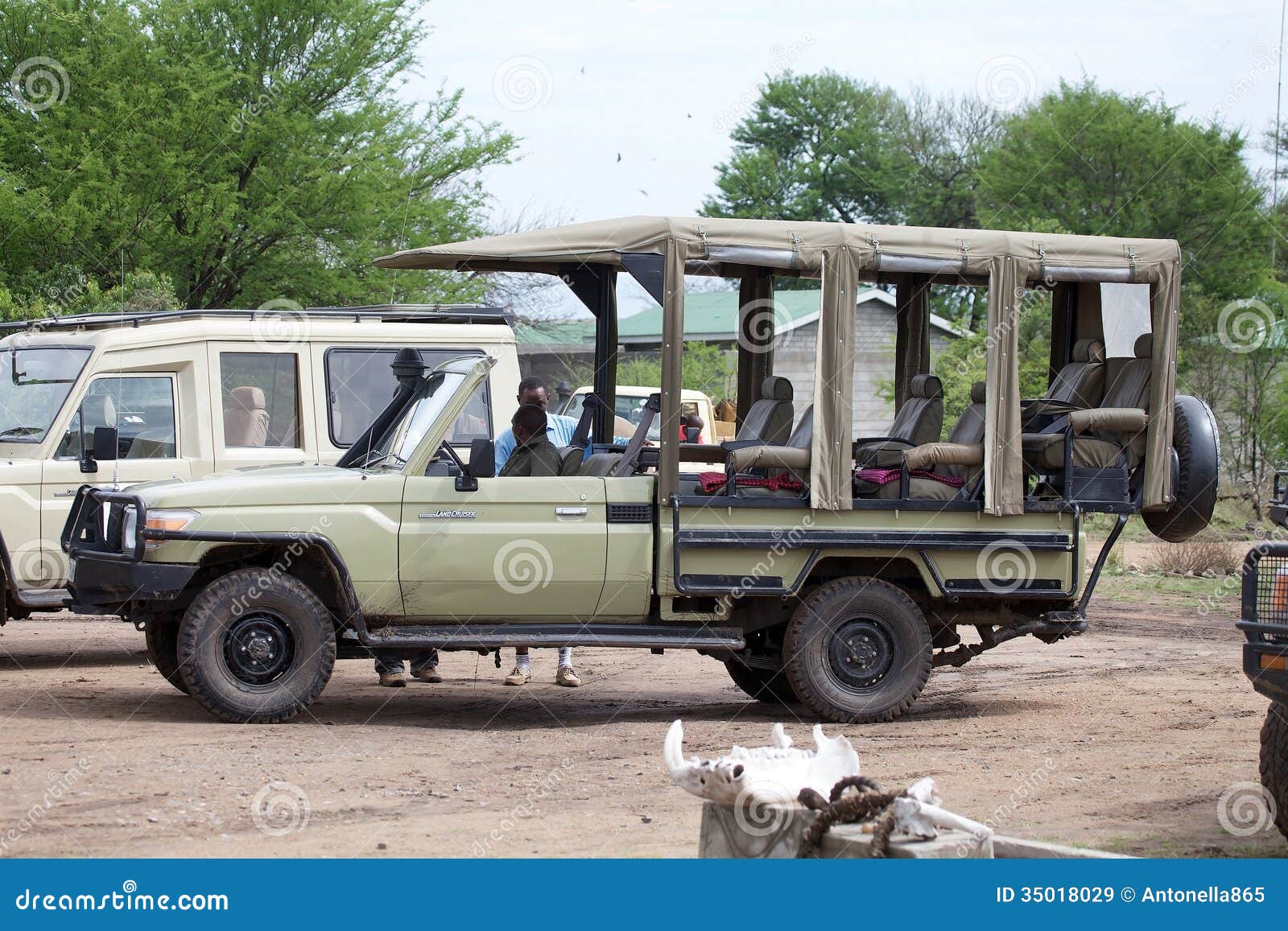 African Safari Editorial Stock Image - Image: 35018029